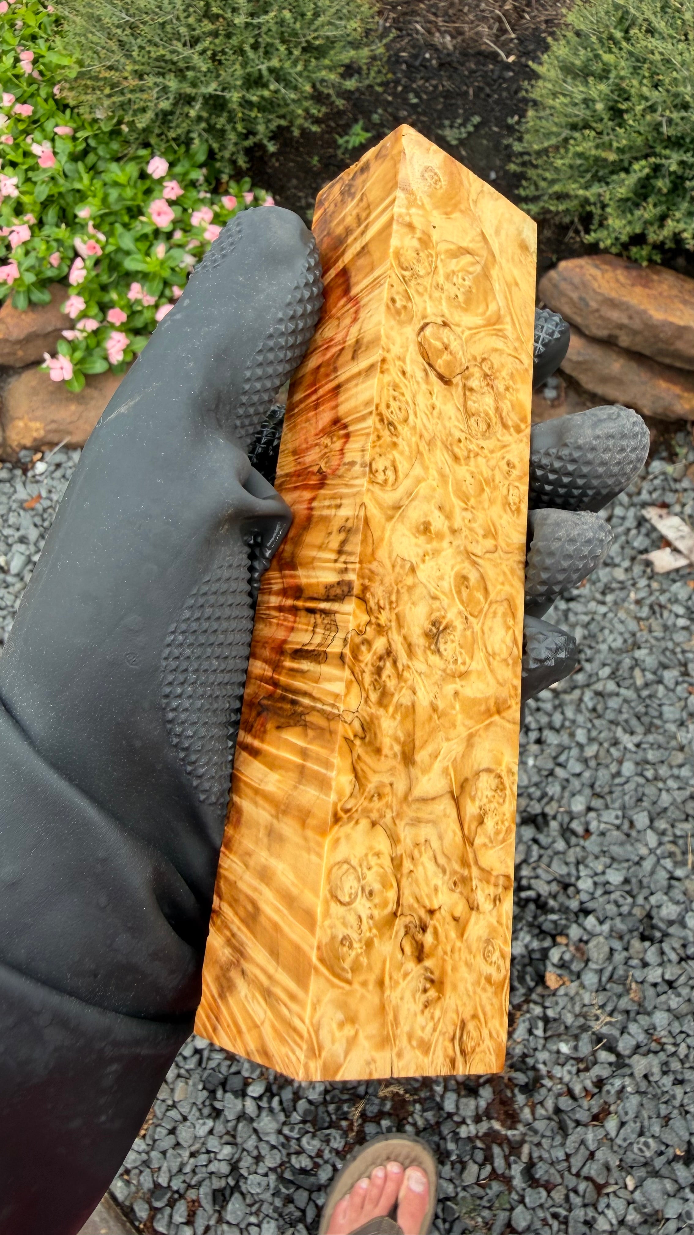 Box Elder Burl Block BEBB-197 (Stabilized)