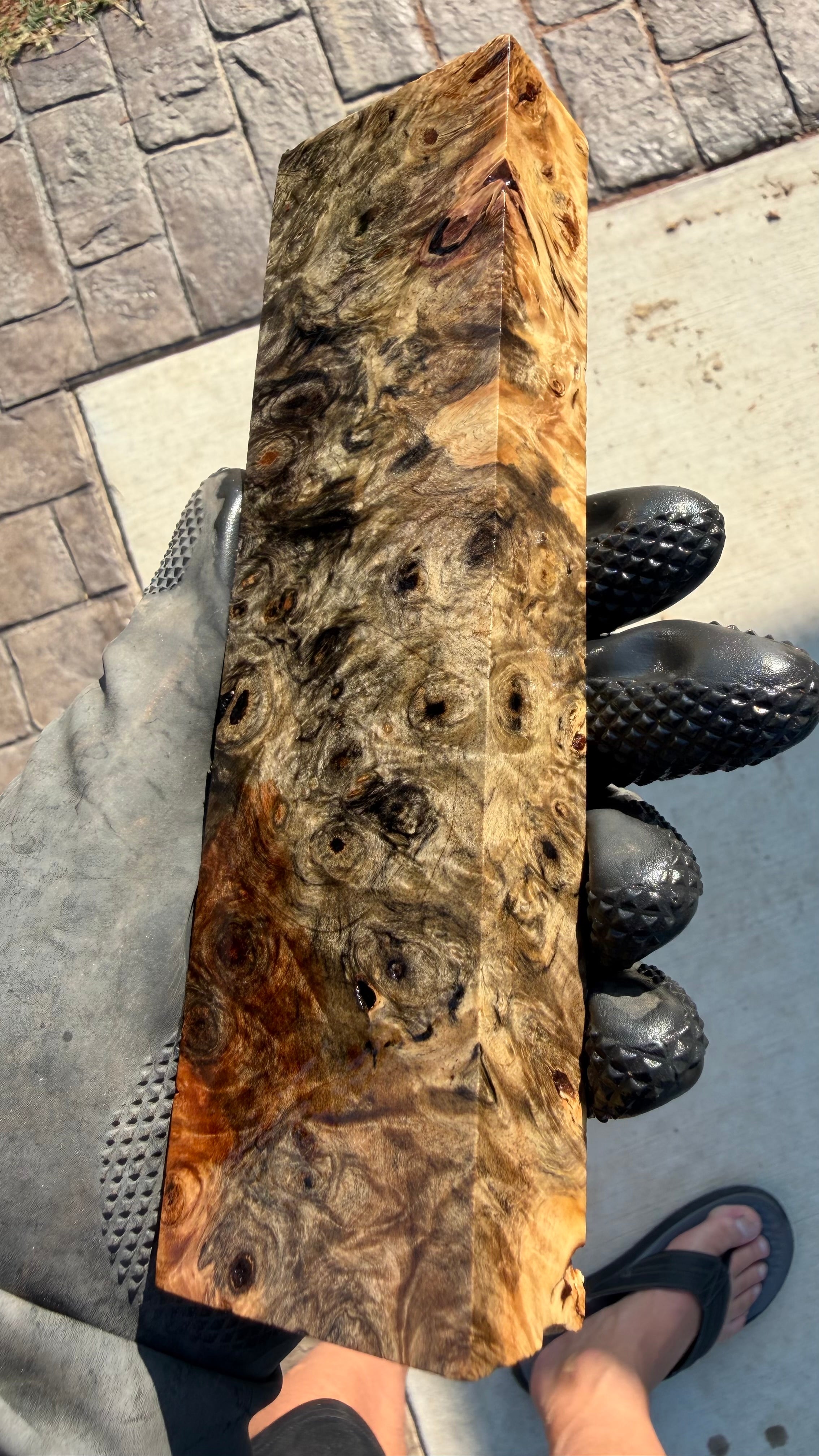 Buckeye Burl Block BBB-115 (Stabilized)