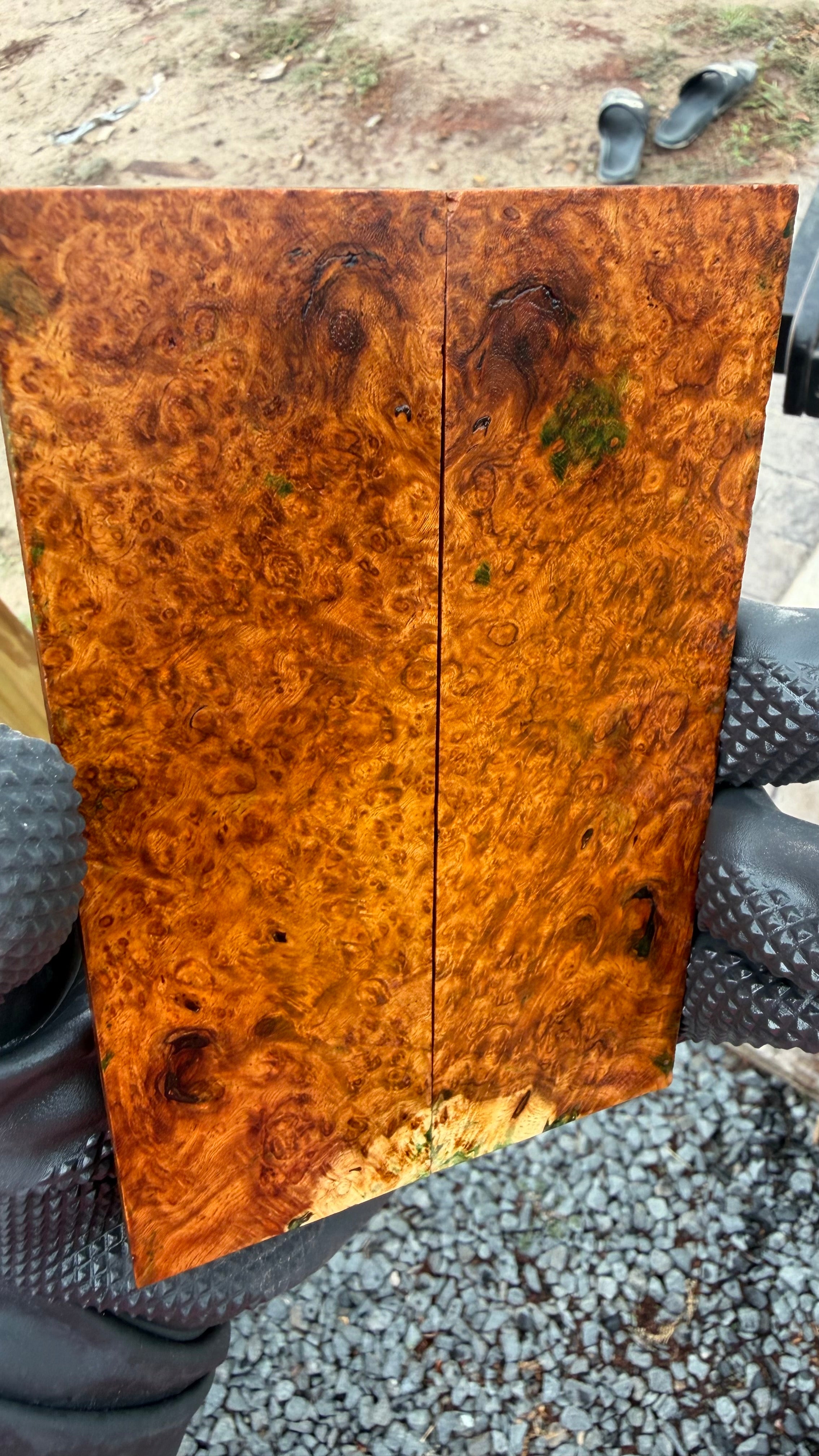 Amboyna Burl Scales AYBS-003 (Stabilized)