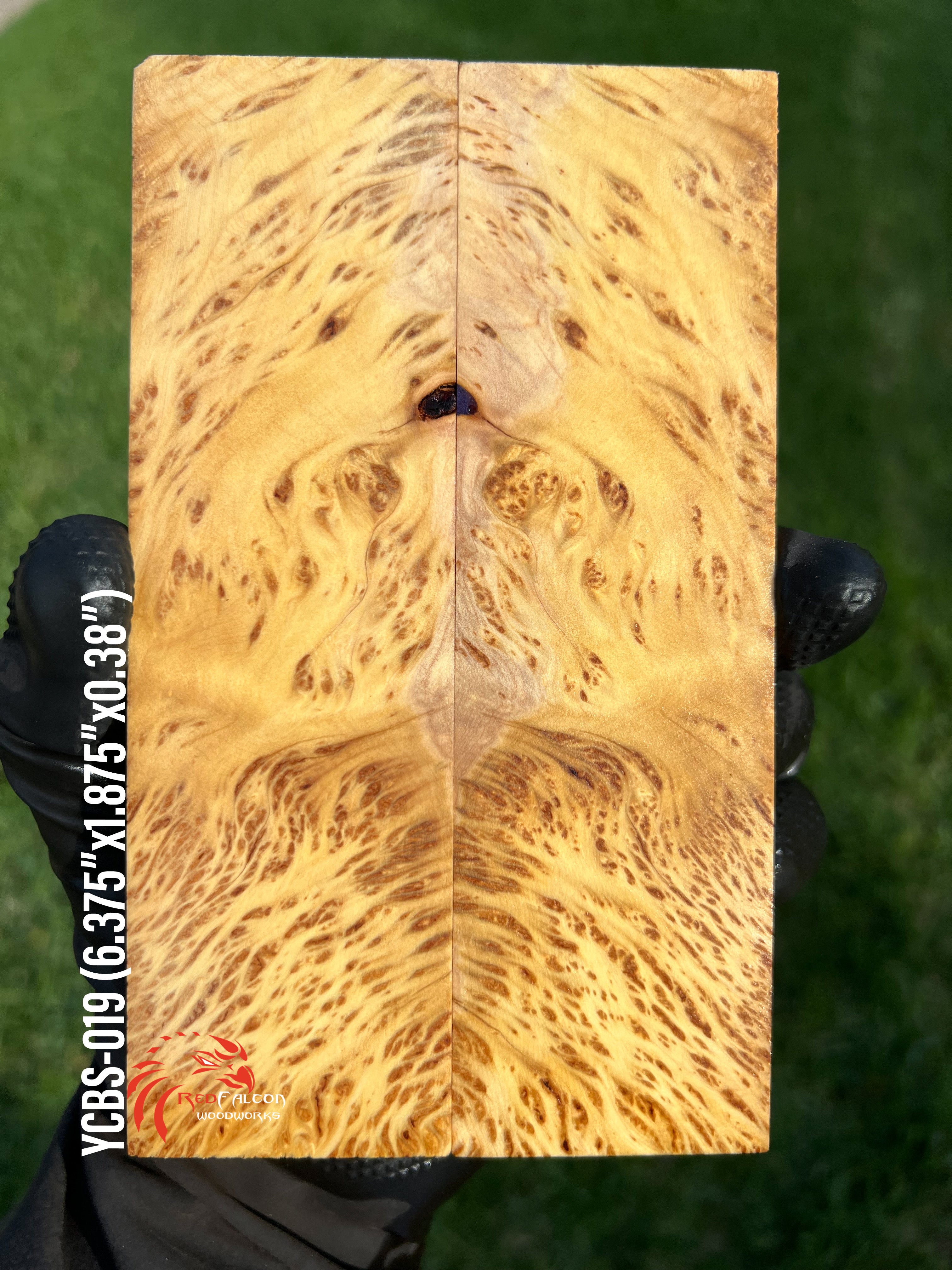 Yellow Cedar Burl Scales YCBS-019 (Stabilized)