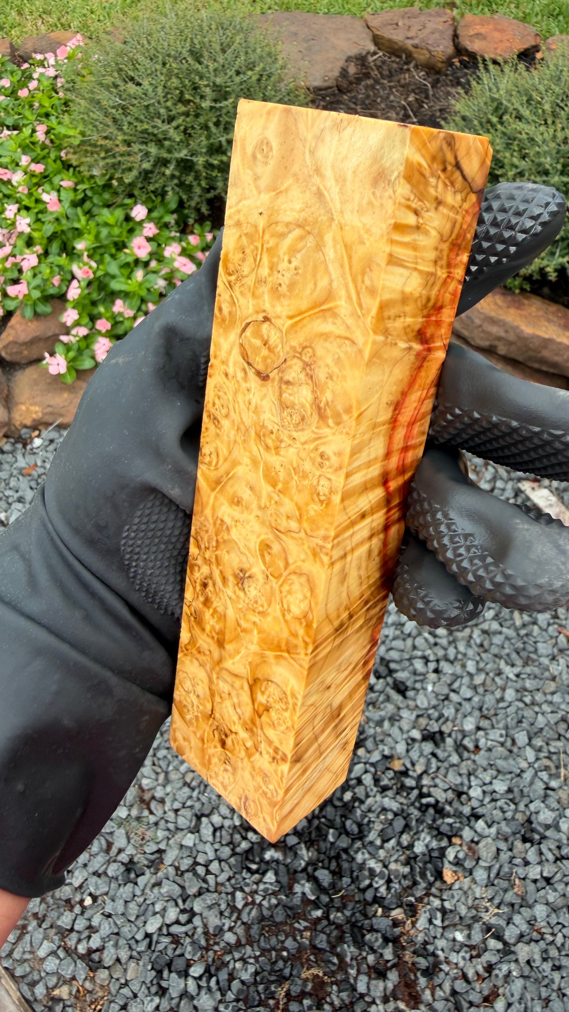 Box Elder Burl Block BEBB-197 (Stabilized)