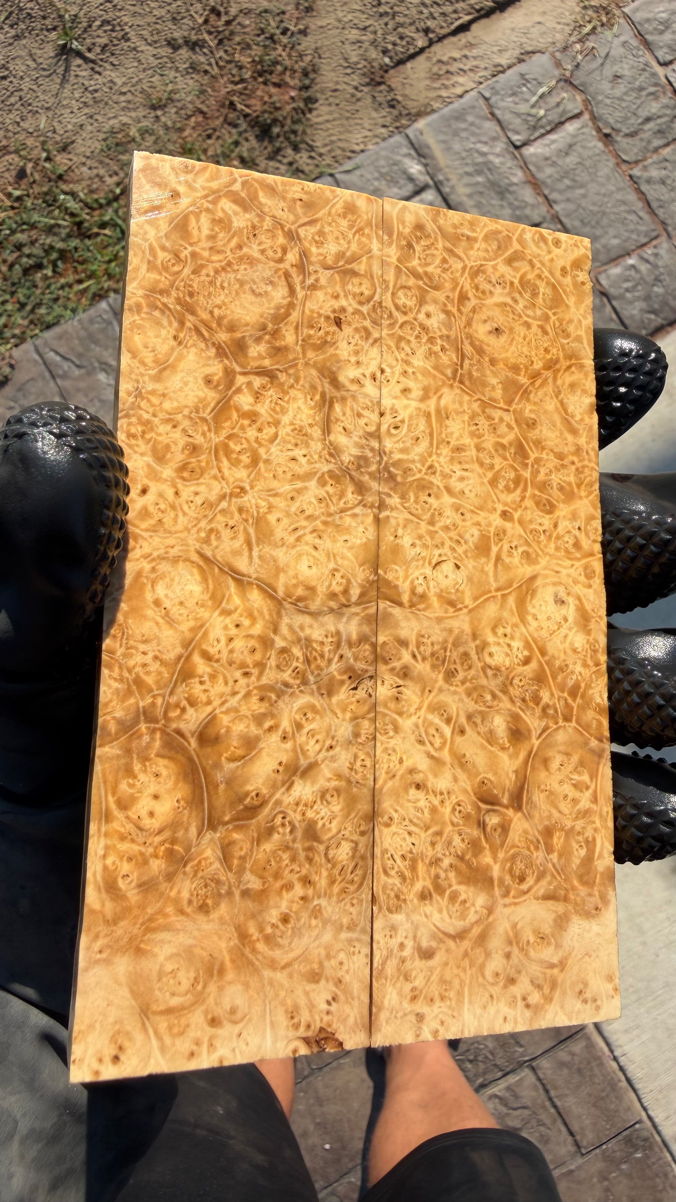 Box Elder Burl Scales BEBS-078 (Stabilized)