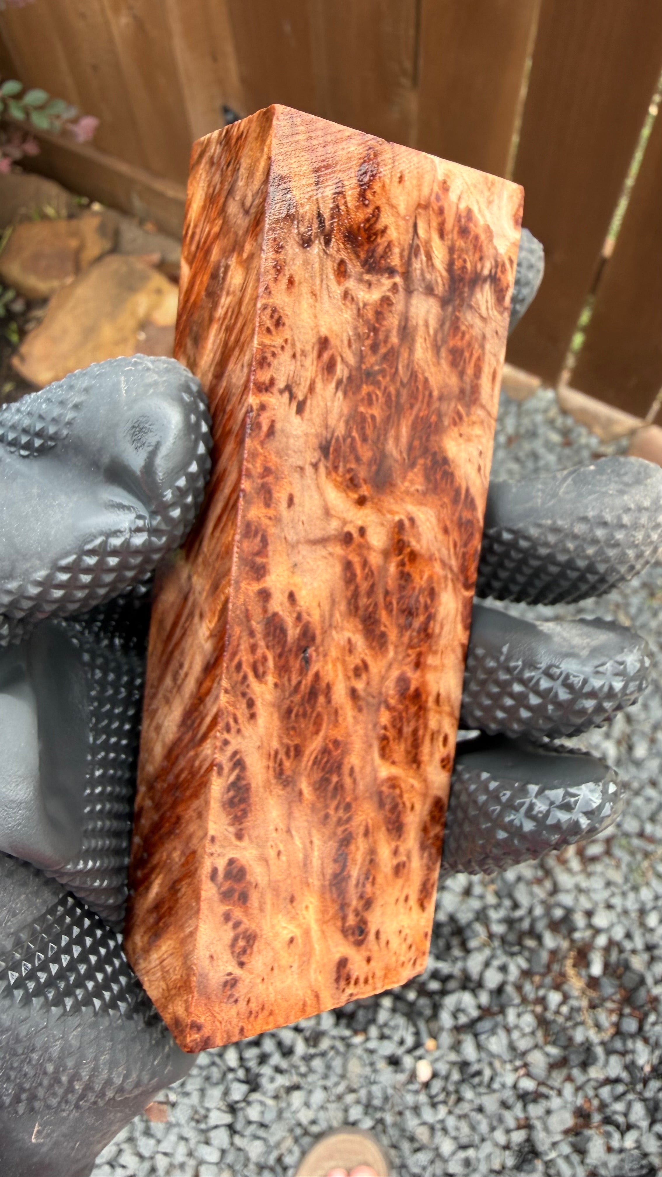 Redwood Burl Block RLBB-262 (Stabilized)