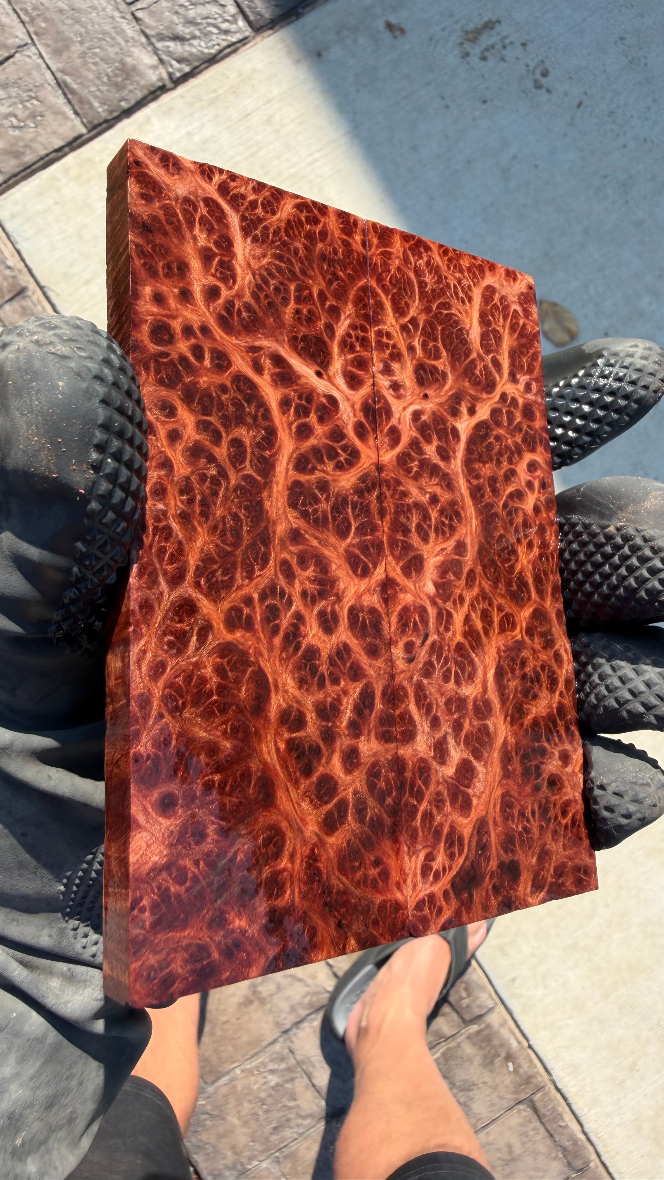 Redwood Burl Scales RLBS-075 (Stabilized)