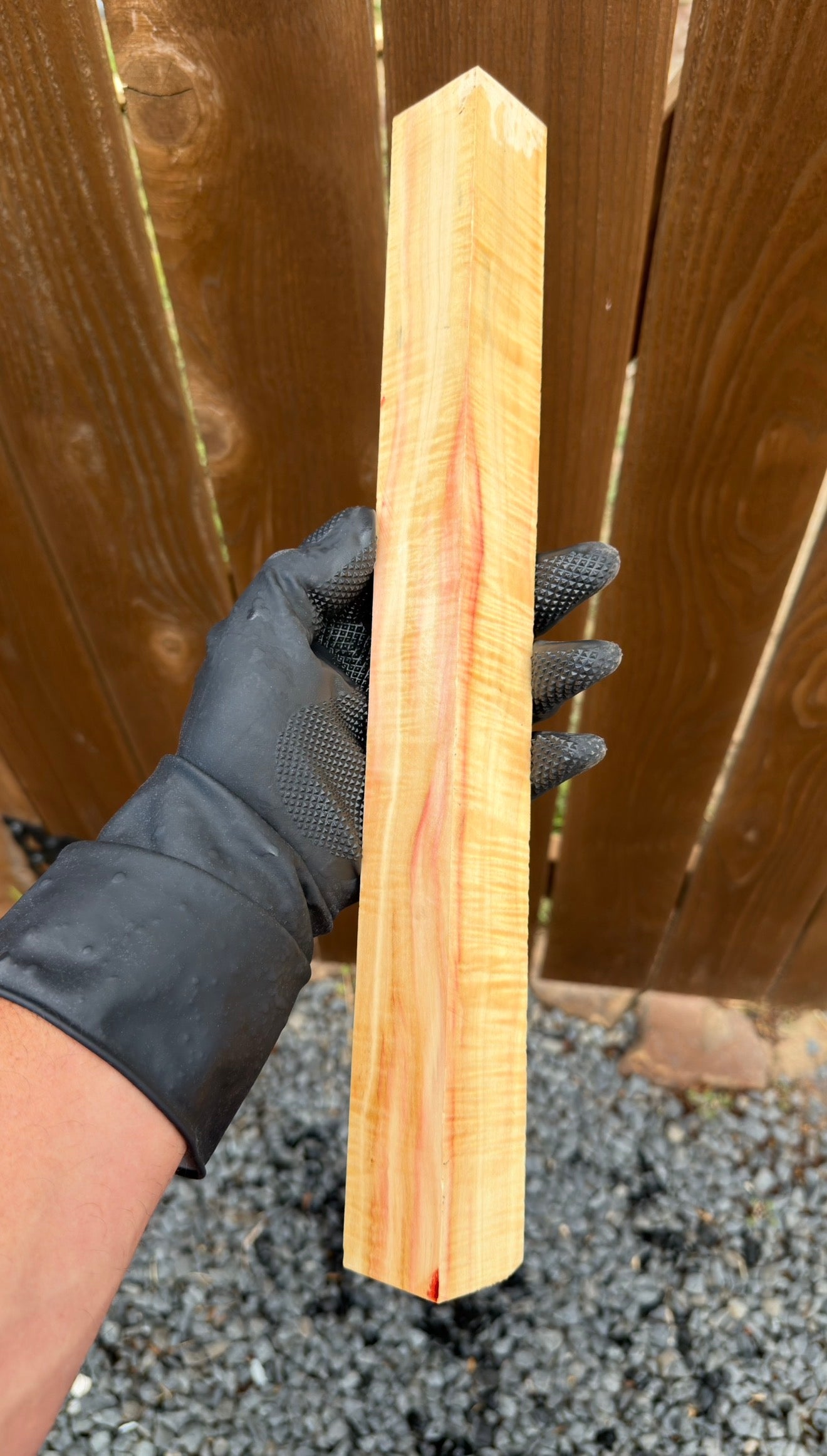 Curly Box Elder Block CBEB-009 (Stabilized)