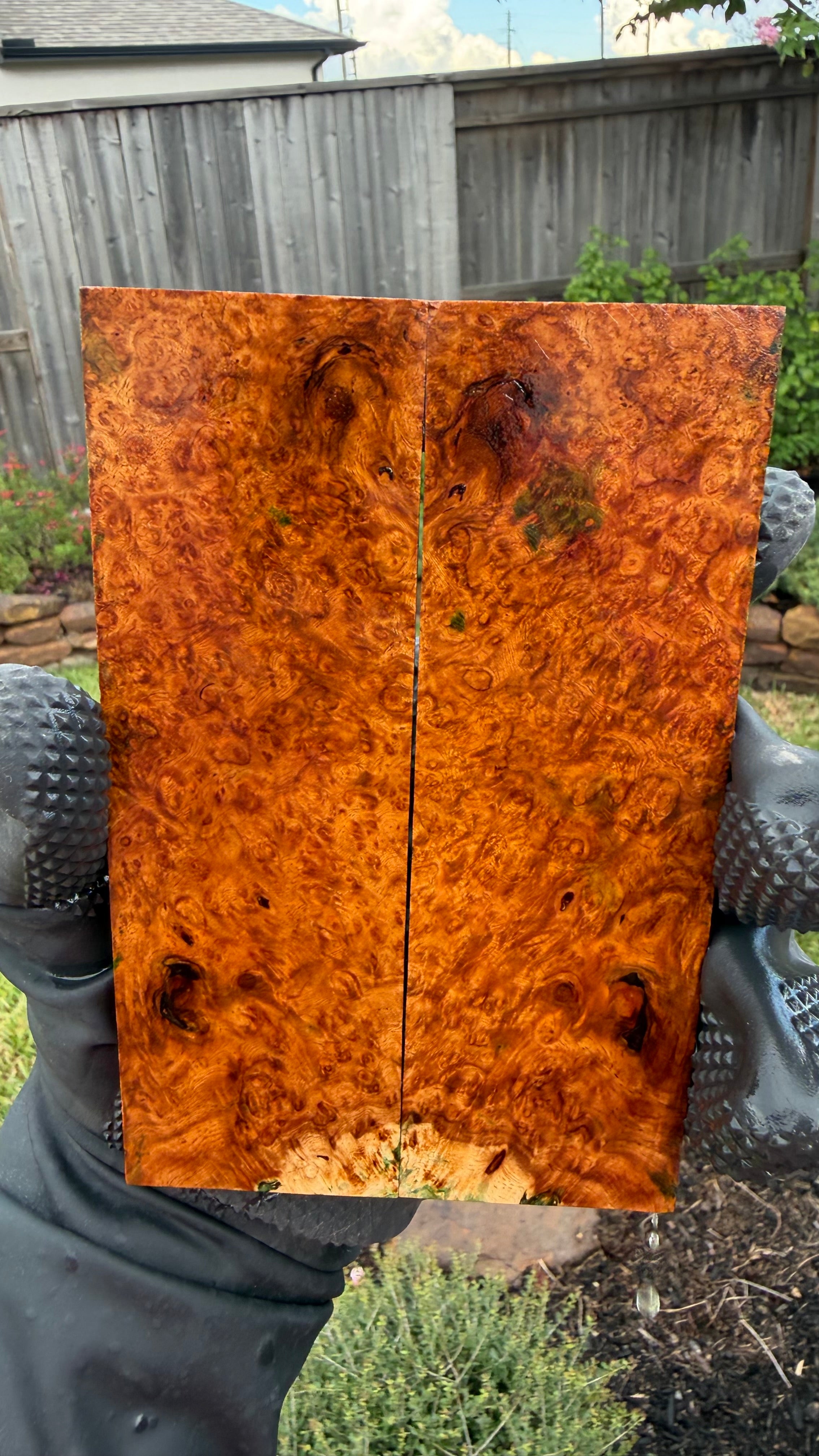 Amboyna Burl Scales AYBS-003 (Stabilized)