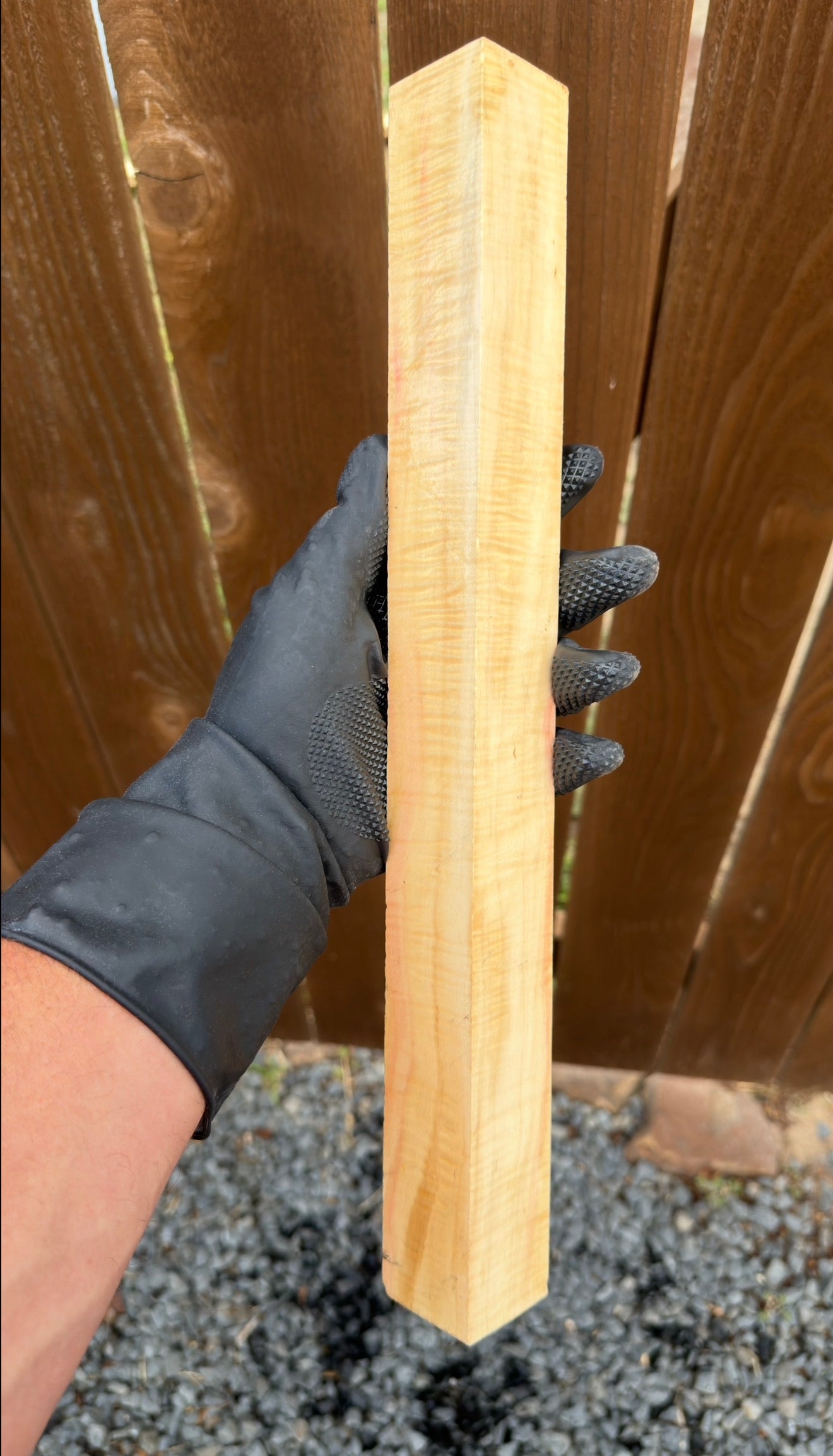 Curly Box Elder Block CBEB-009 (Stabilized)