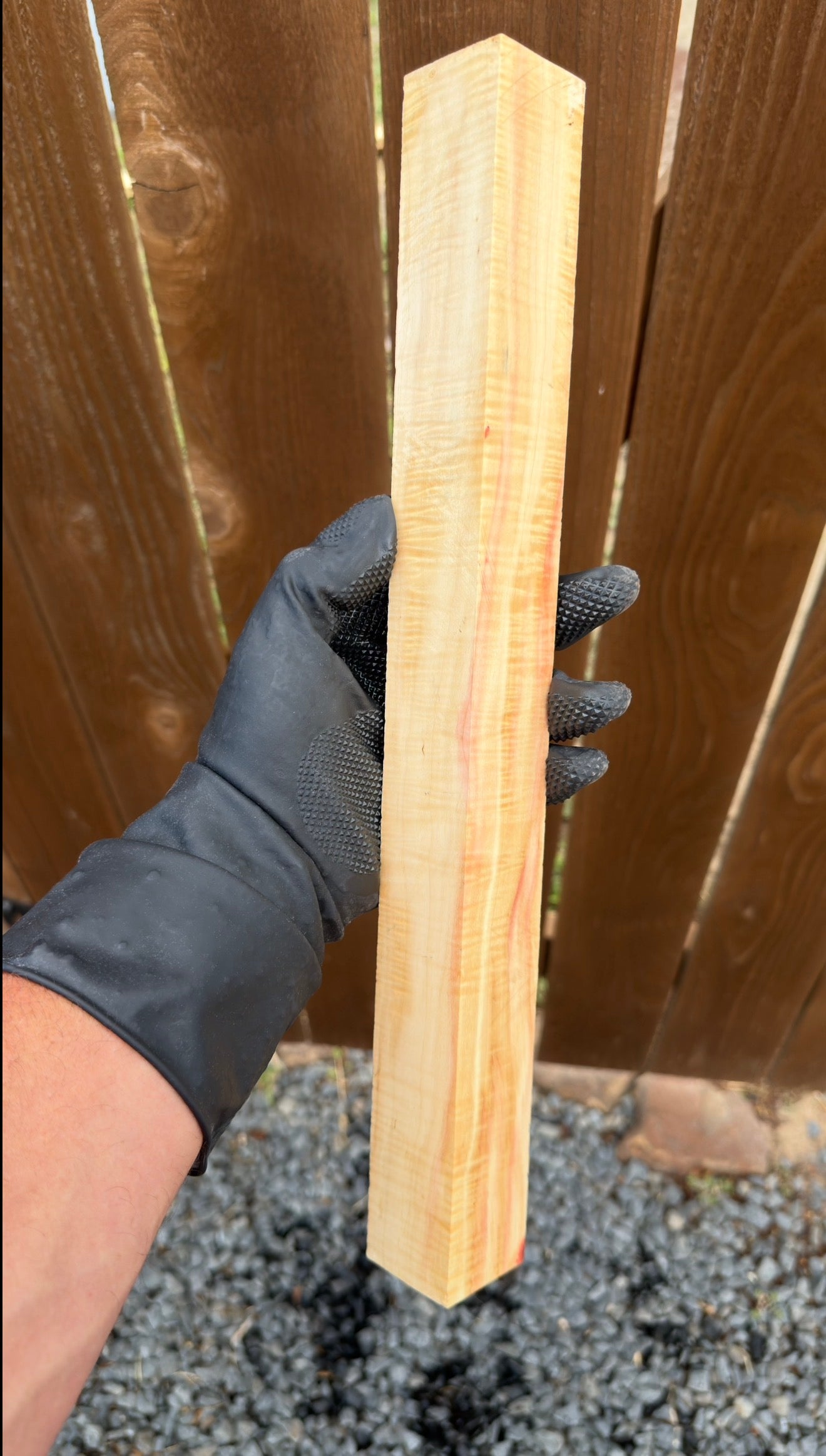 Curly Box Elder Block CBEB-009 (Stabilized)