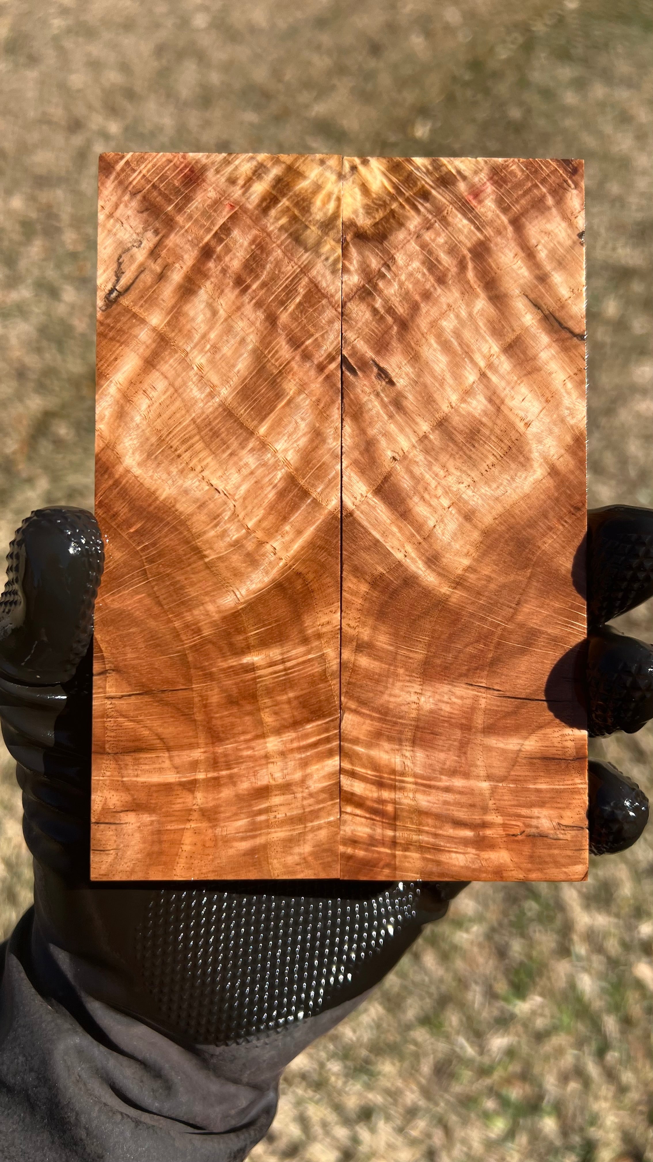 Red Oak Burl Scales ROBS-010 (Stabilized)