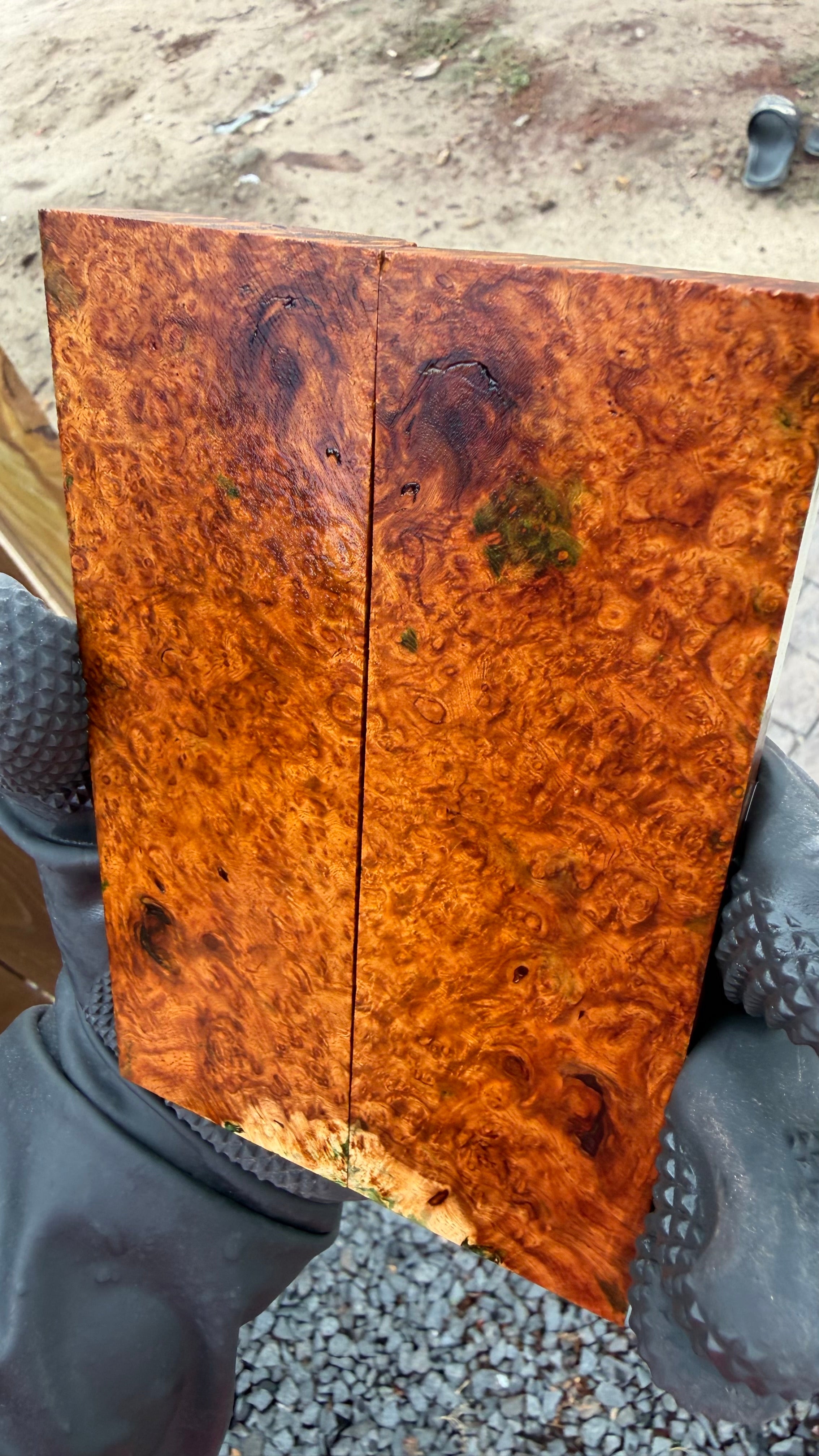 Amboyna Burl Scales AYBS-003 (Stabilized)