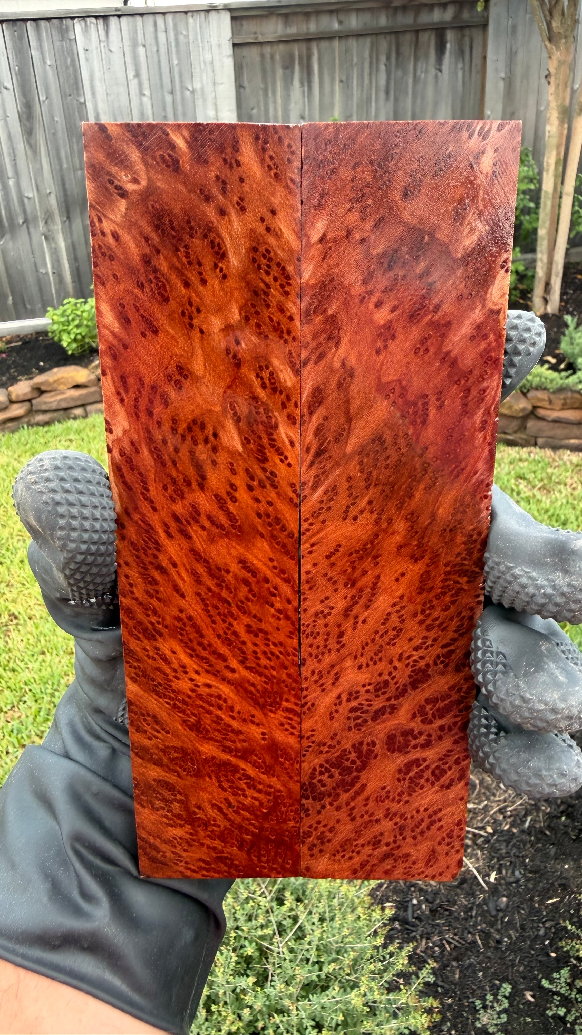 Redwood Burl Scales RLBS-063 (Stabilized)