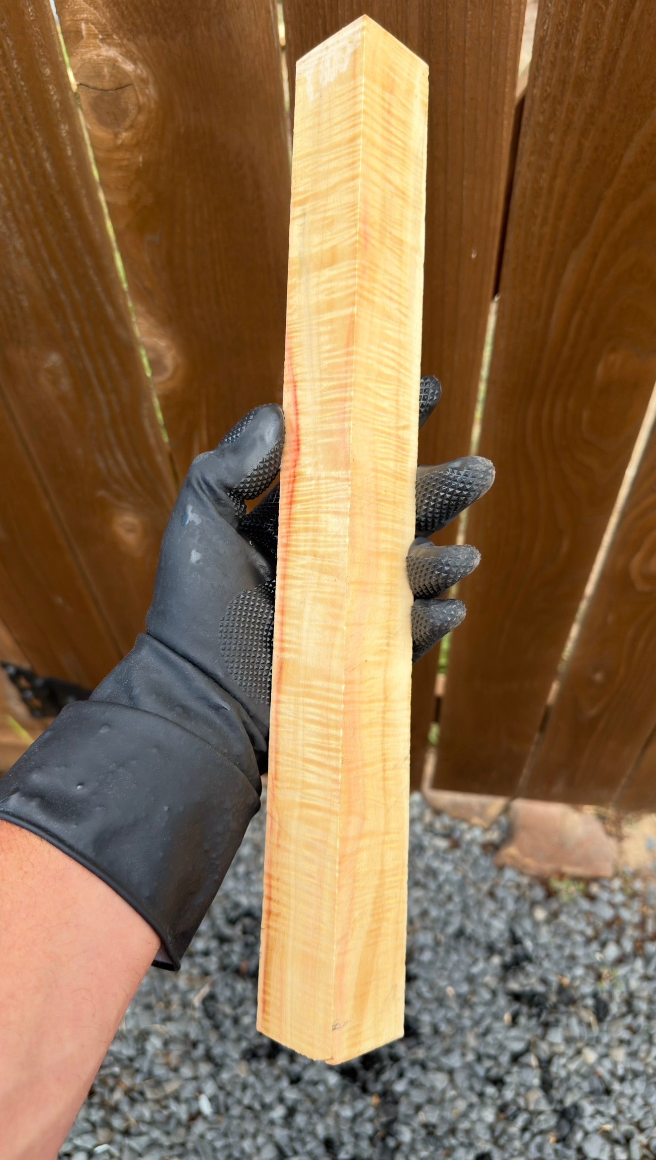 Curly Box Elder Block CBEB-009 (Stabilized)