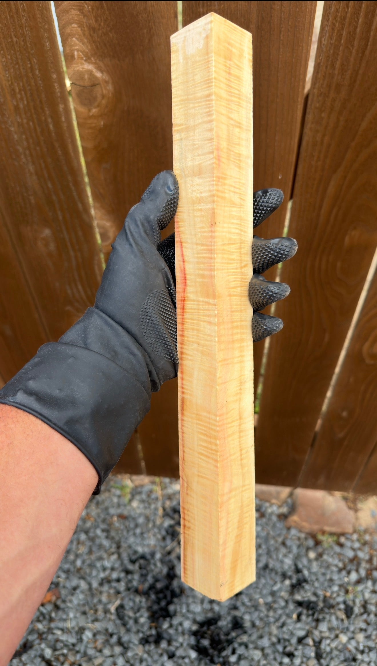 Curly Box Elder Block CBEB-009 (Stabilized)