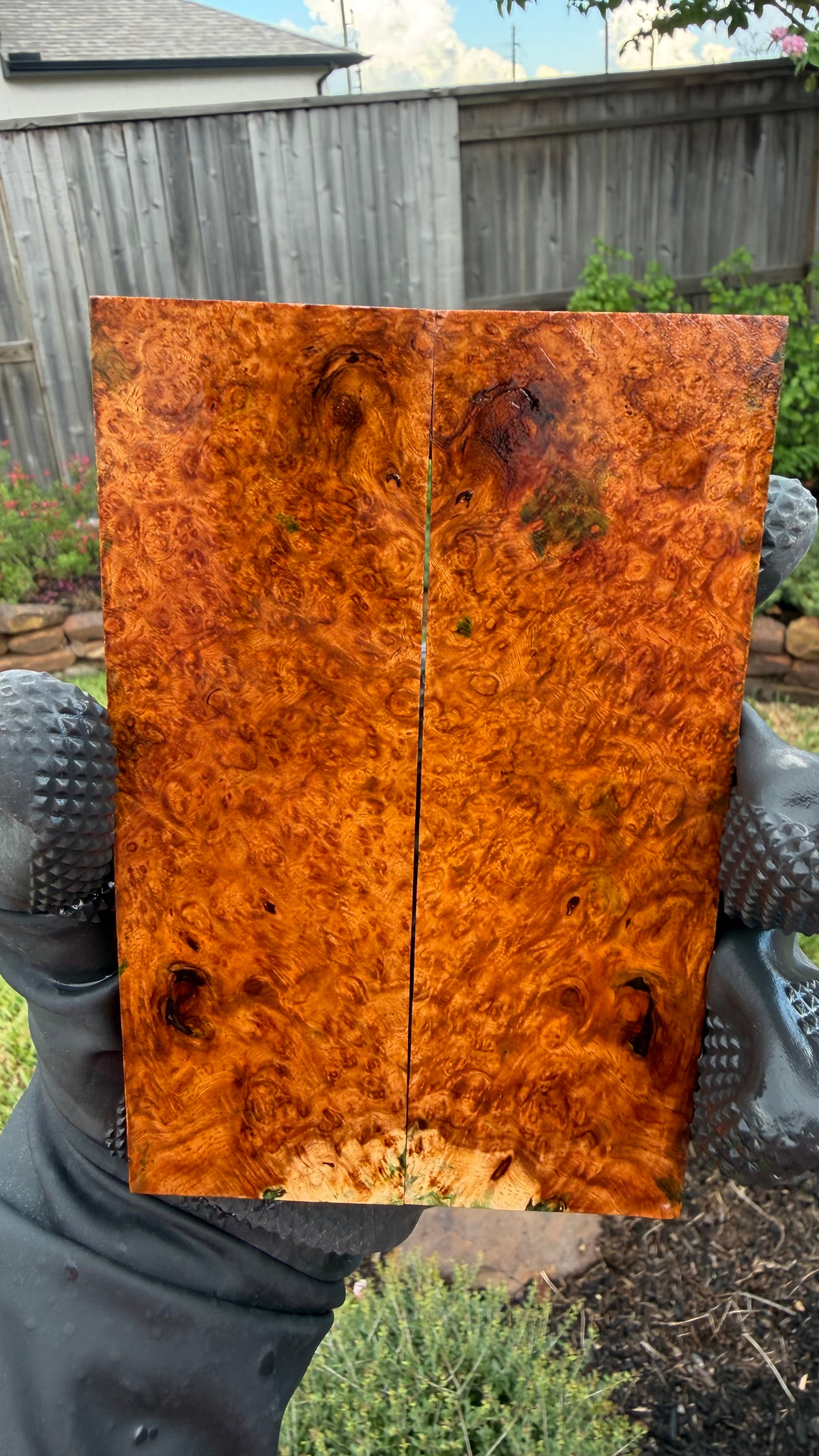 Amboyna Burl Scales AYBS-003 (Stabilized)