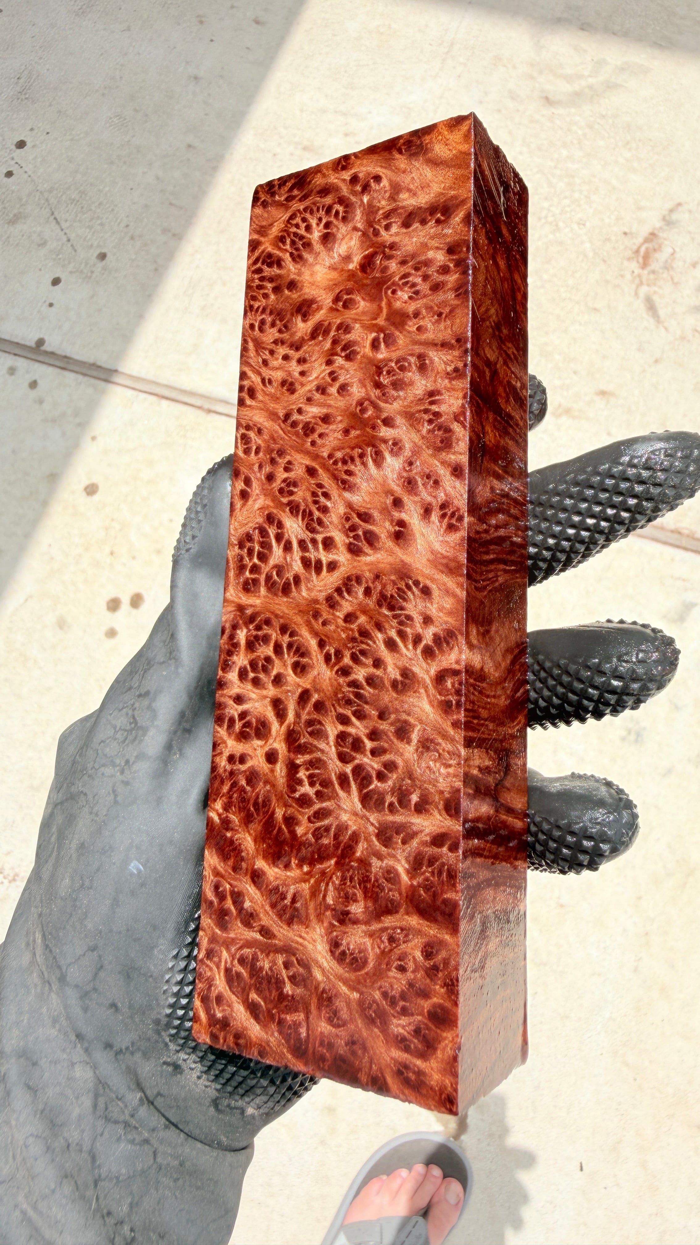 Redwood Burl Block RLBB-446 (Stabilized)