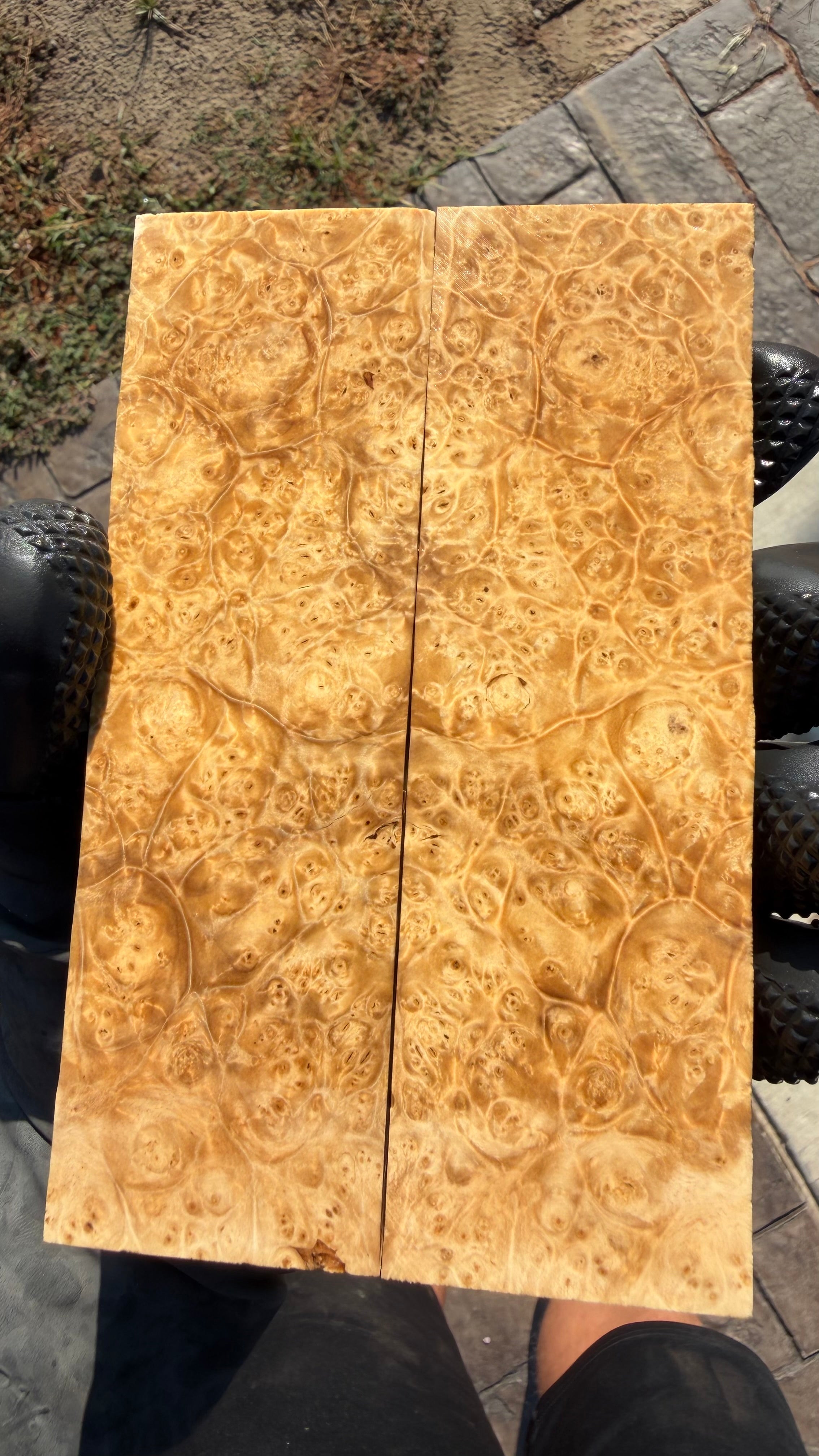 Box Elder Burl Scales BEBS-078 (Stabilized)