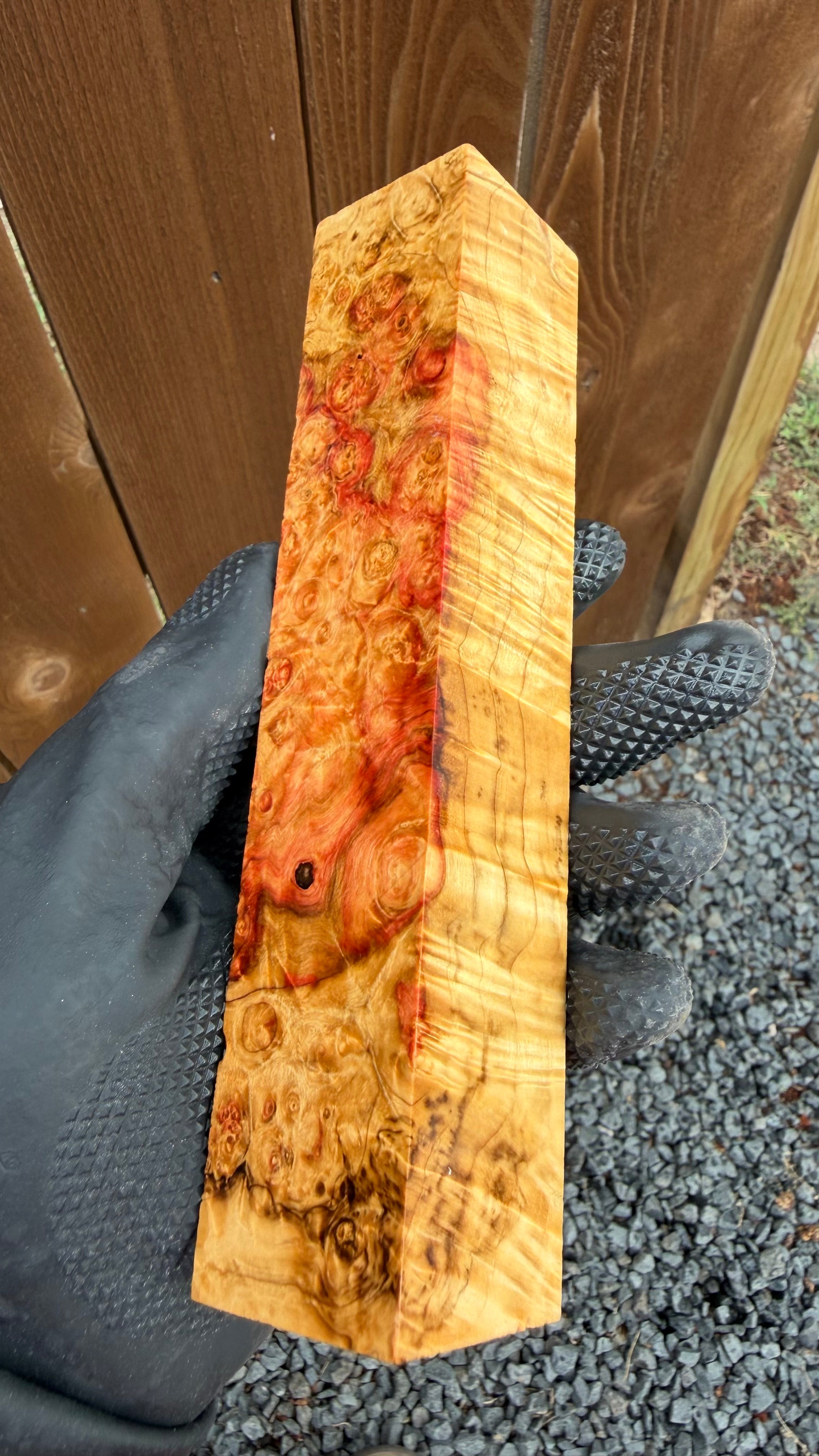 Box Elder Burl Block BEBB-174 (Stabilized)