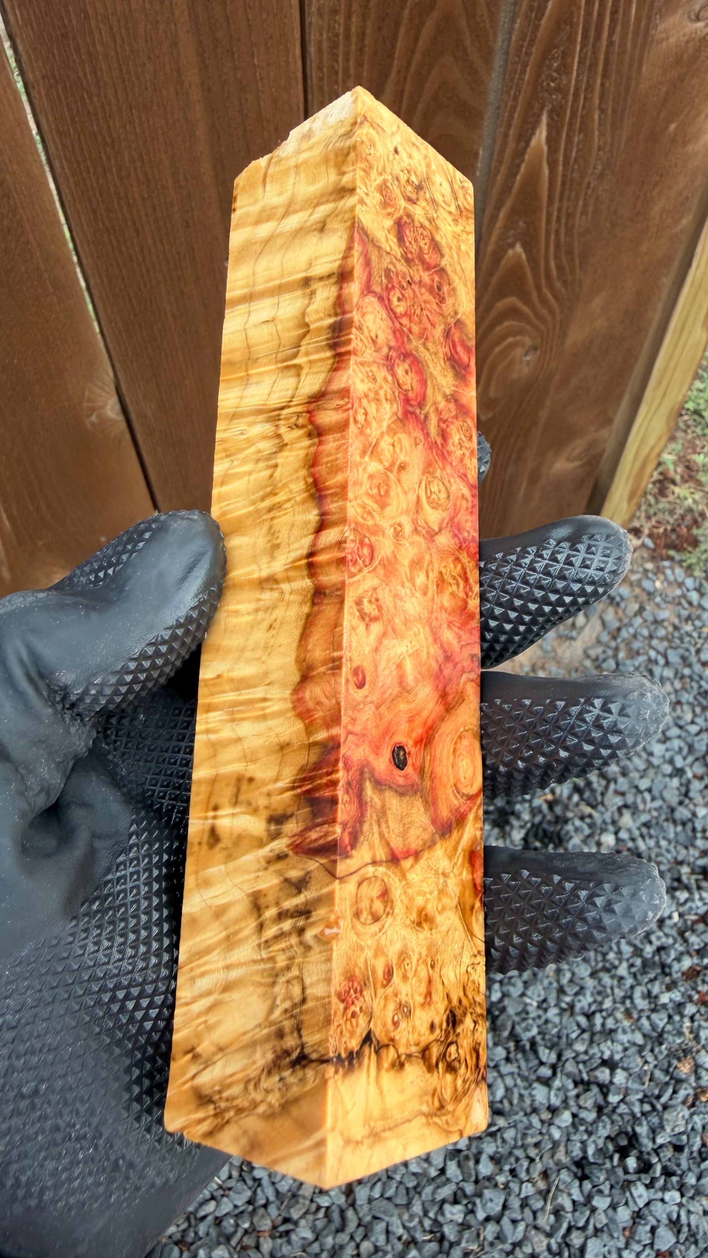 Box Elder Burl Block BEBB-174 (Stabilized)