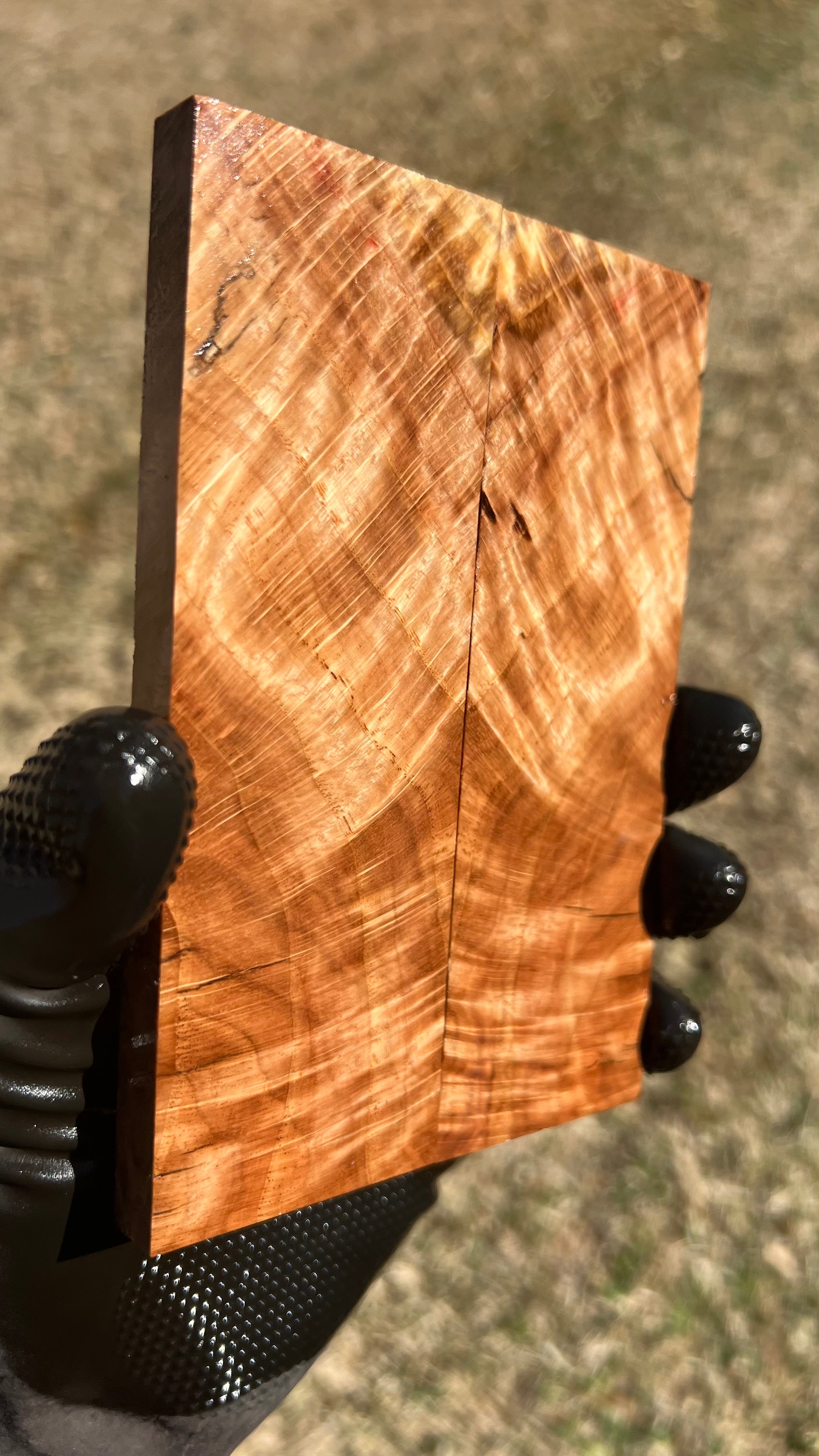Red Oak Burl Scales ROBS-010 (Stabilized)