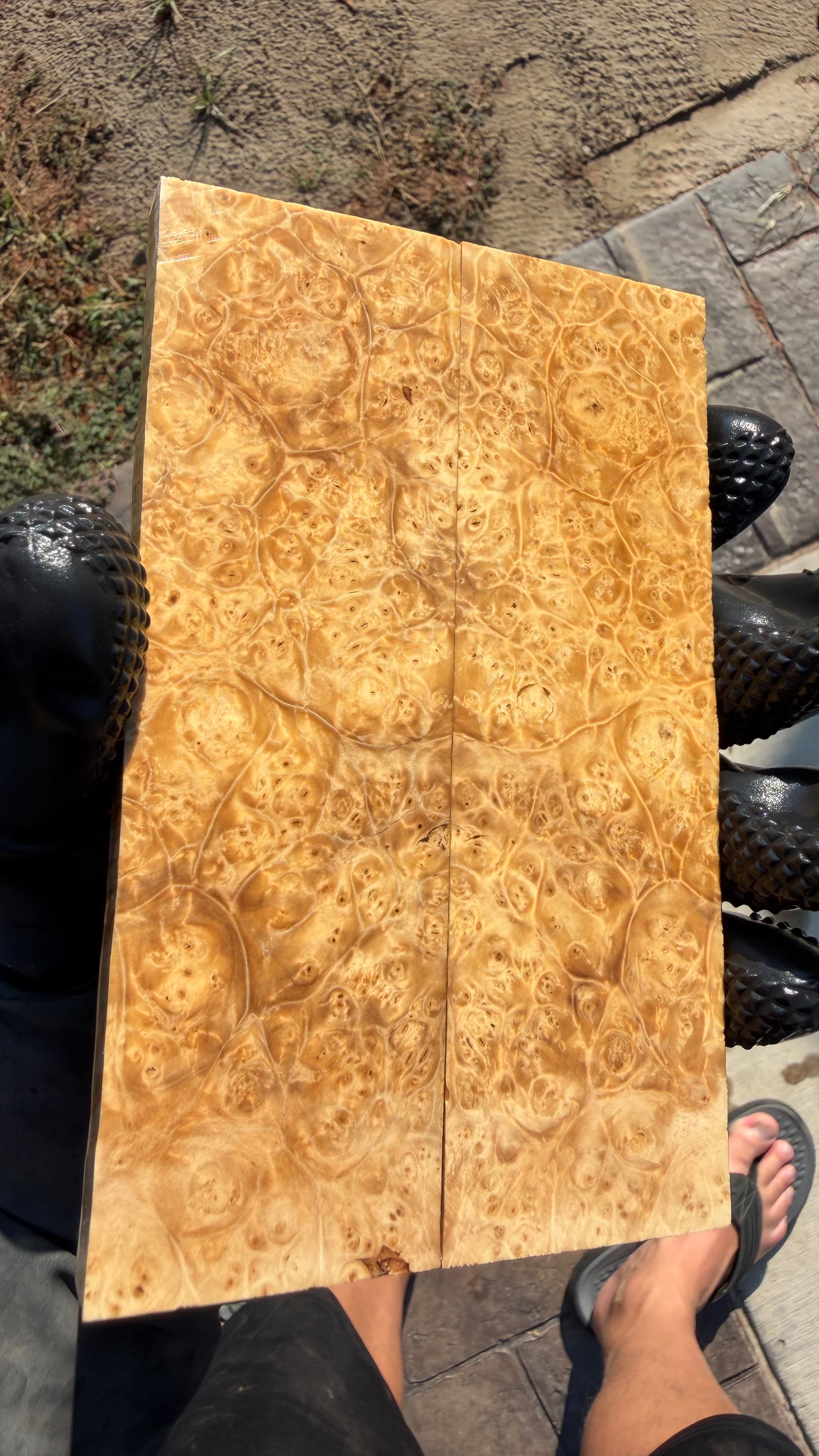 Box Elder Burl Scales BEBS-078 (Stabilized)