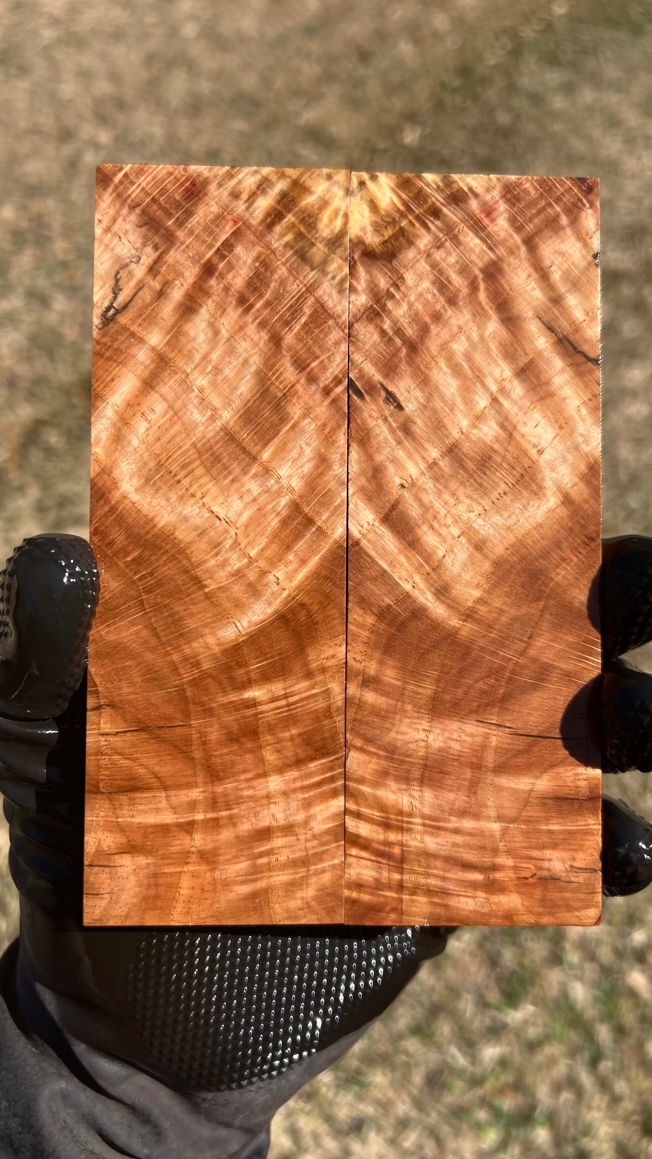 Red Oak Burl Scales ROBS-010 (Stabilized)