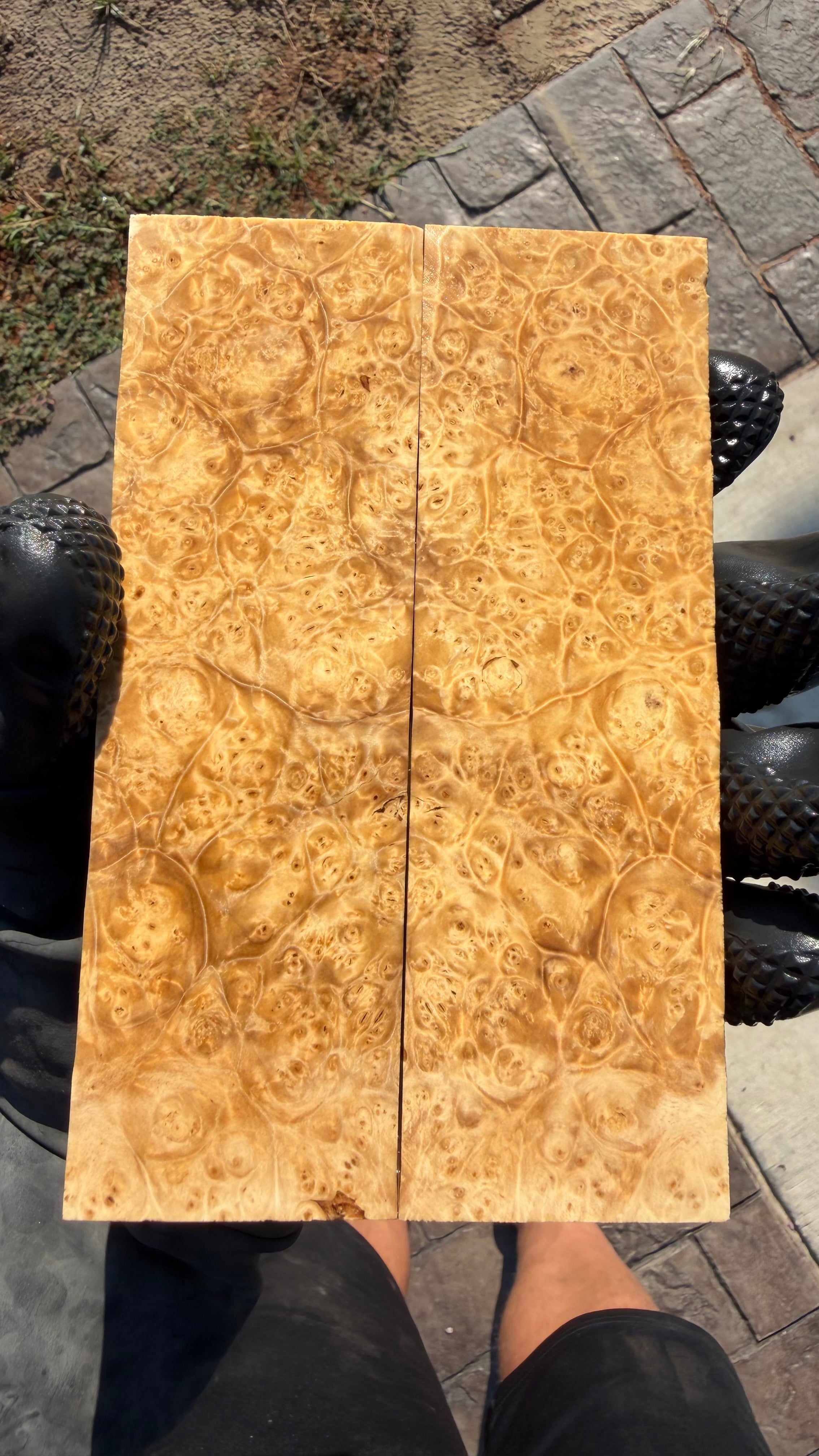 Box Elder Burl Scales BEBS-078 (Stabilized)