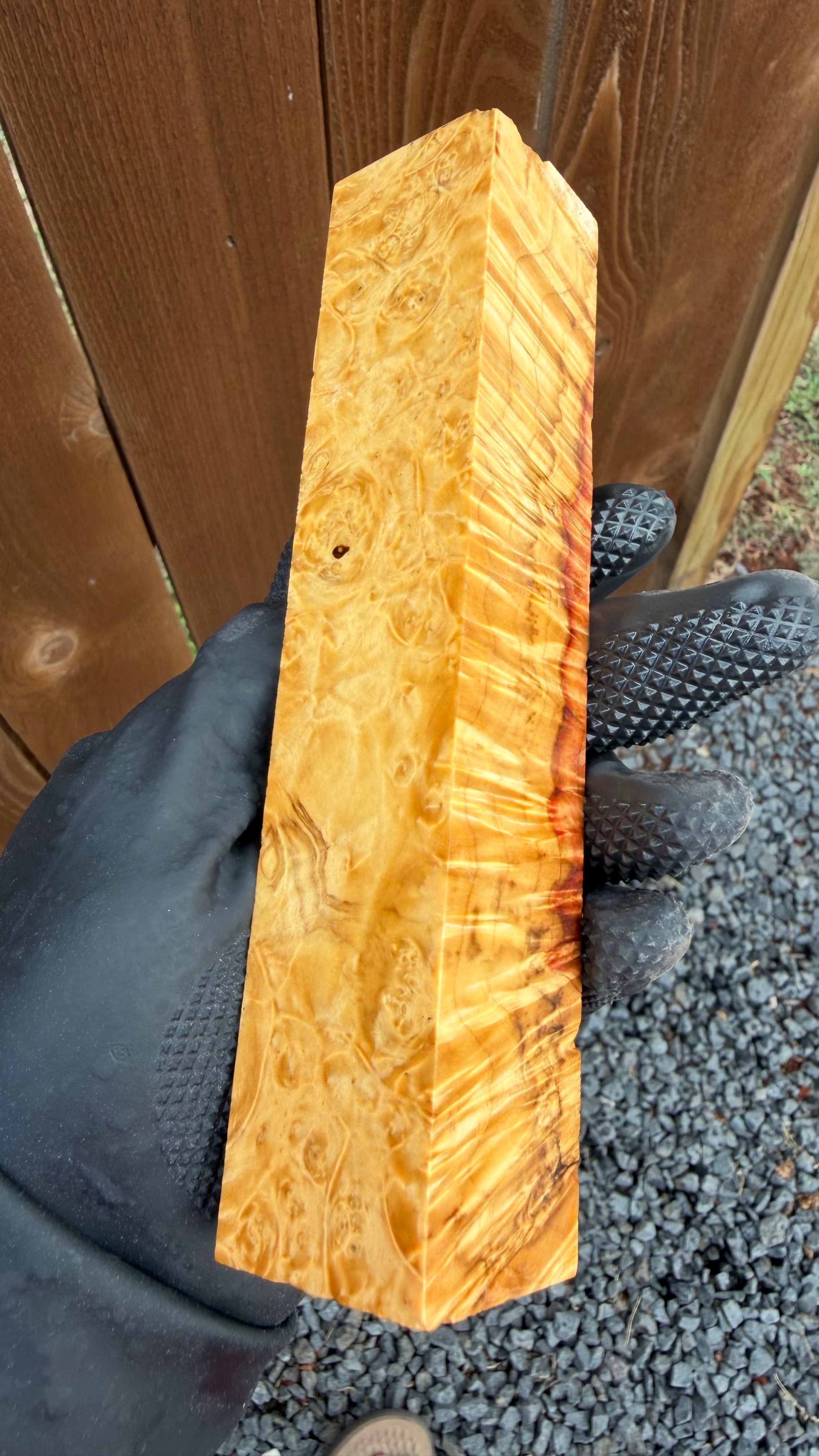 Box Elder Burl Block BEBB-174 (Stabilized)