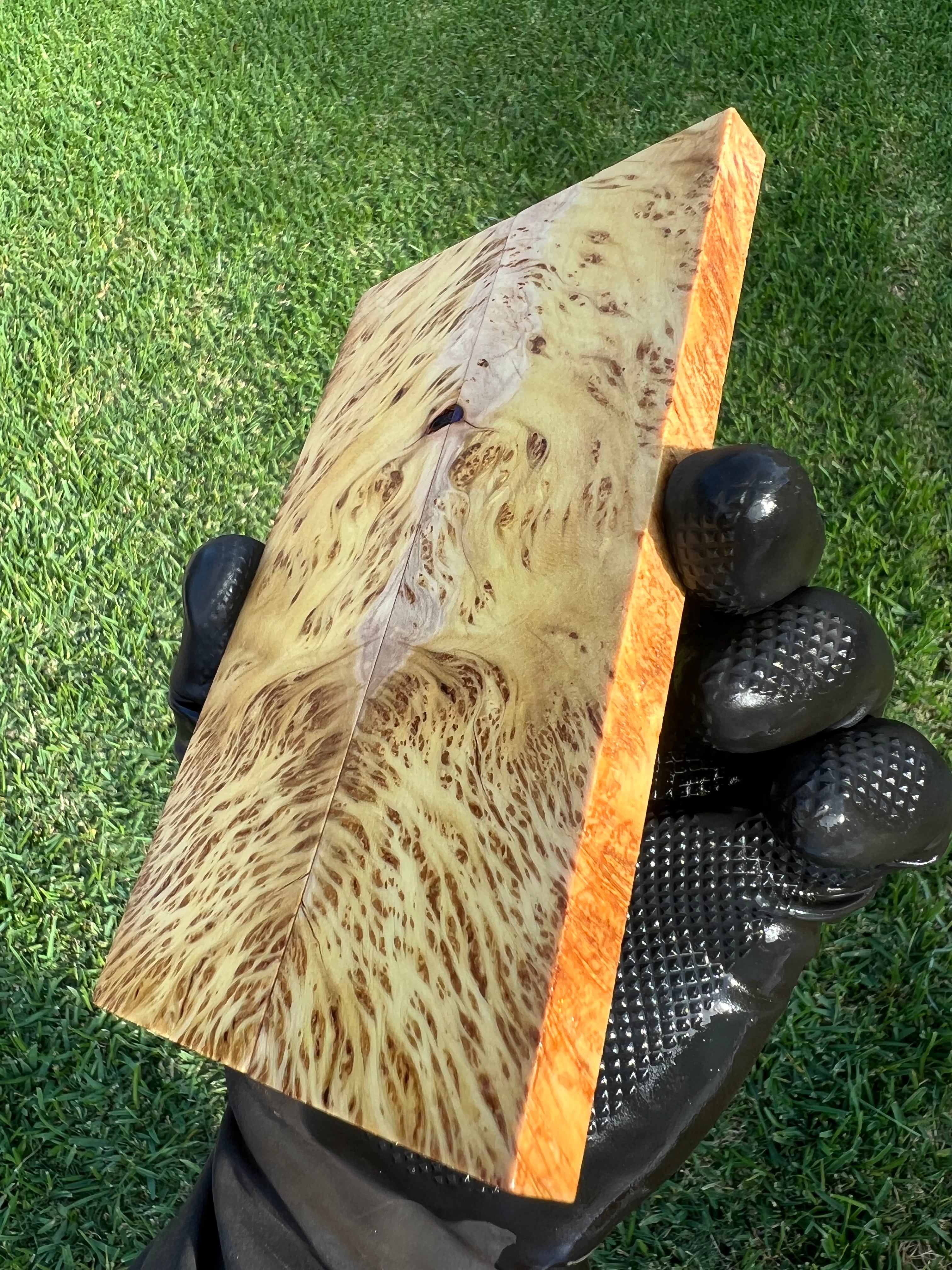 Yellow Cedar Burl Scales YCBS-019 (Stabilized)