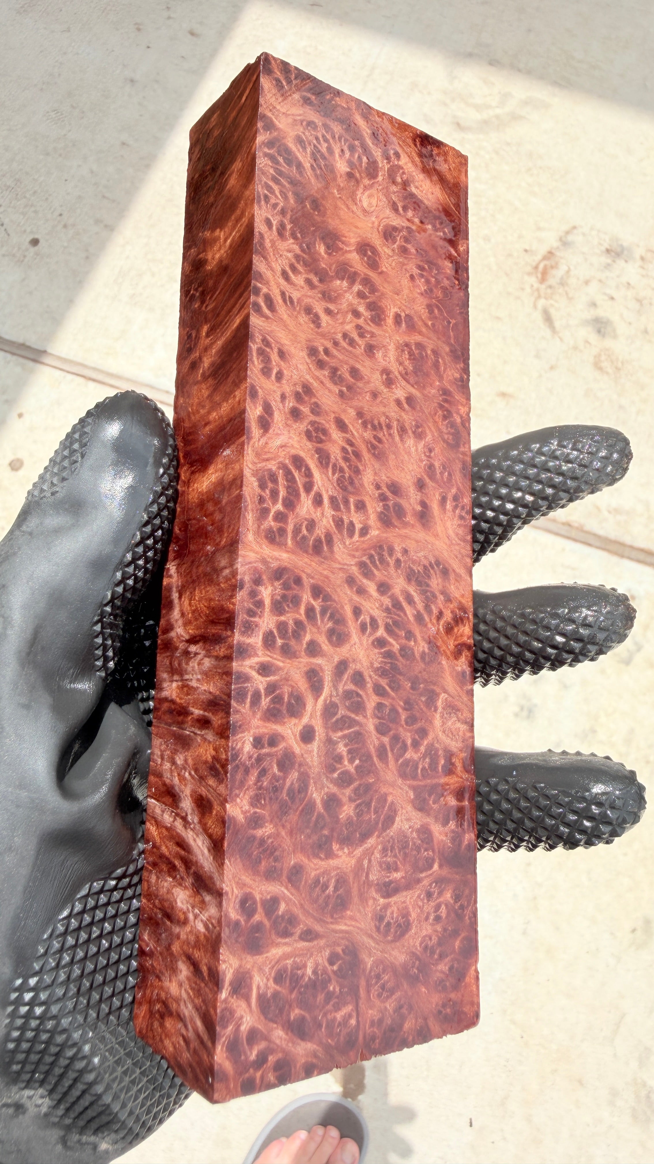 Redwood Burl Block RLBB-446 (Stabilized)