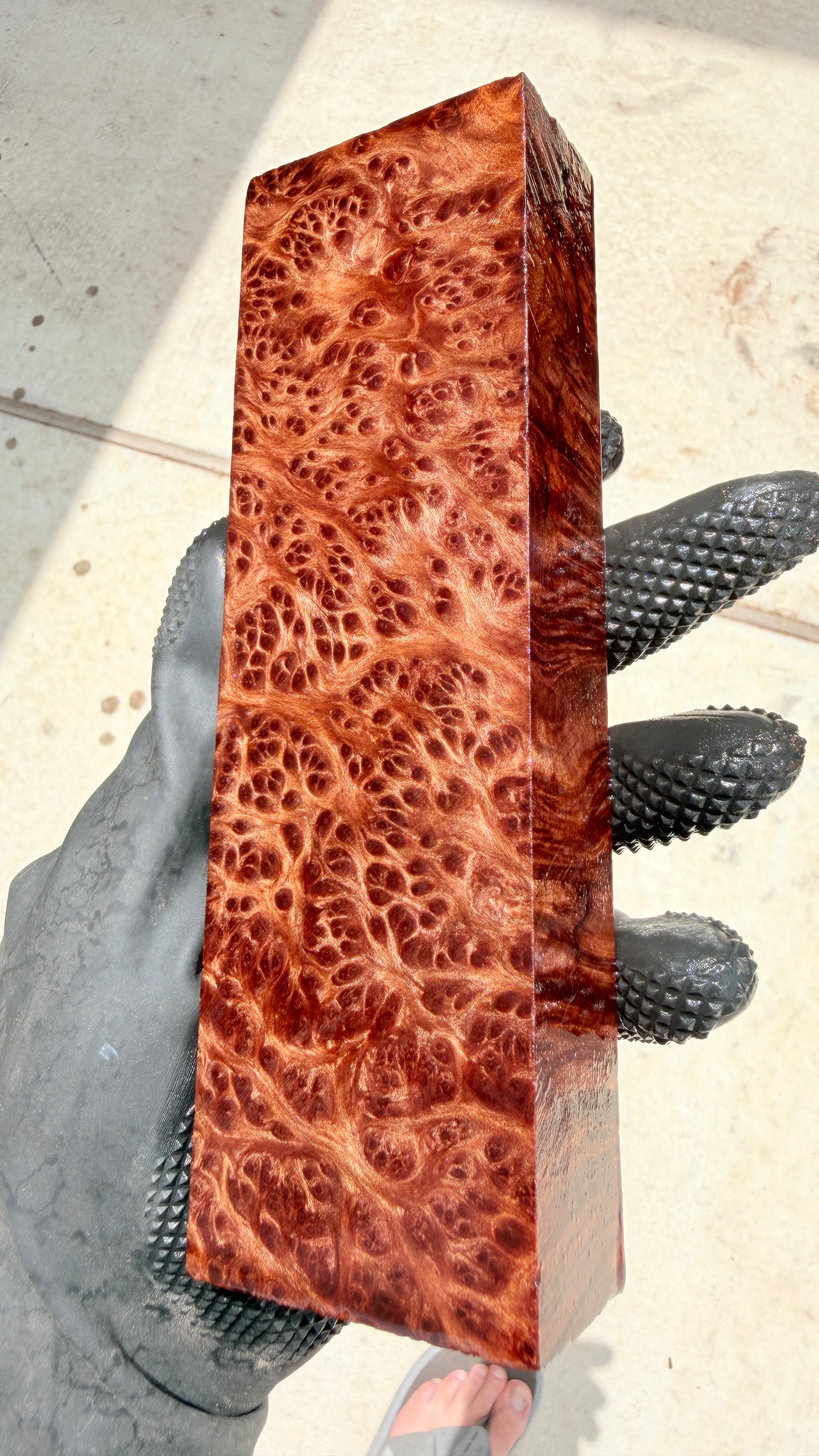 Redwood Burl Block RLBB-446 (Stabilized)