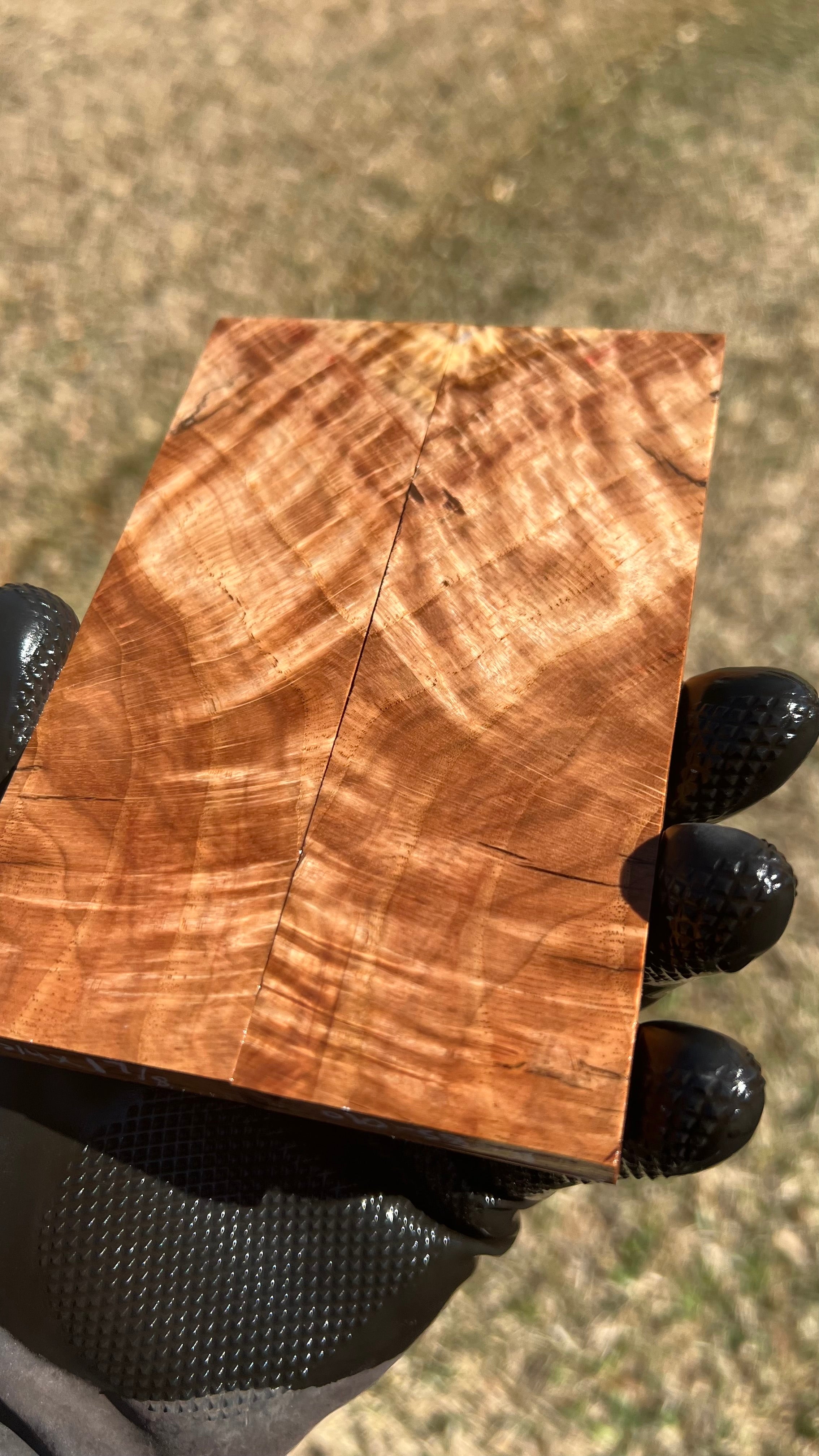 Red Oak Burl Scales ROBS-010 (Stabilized)