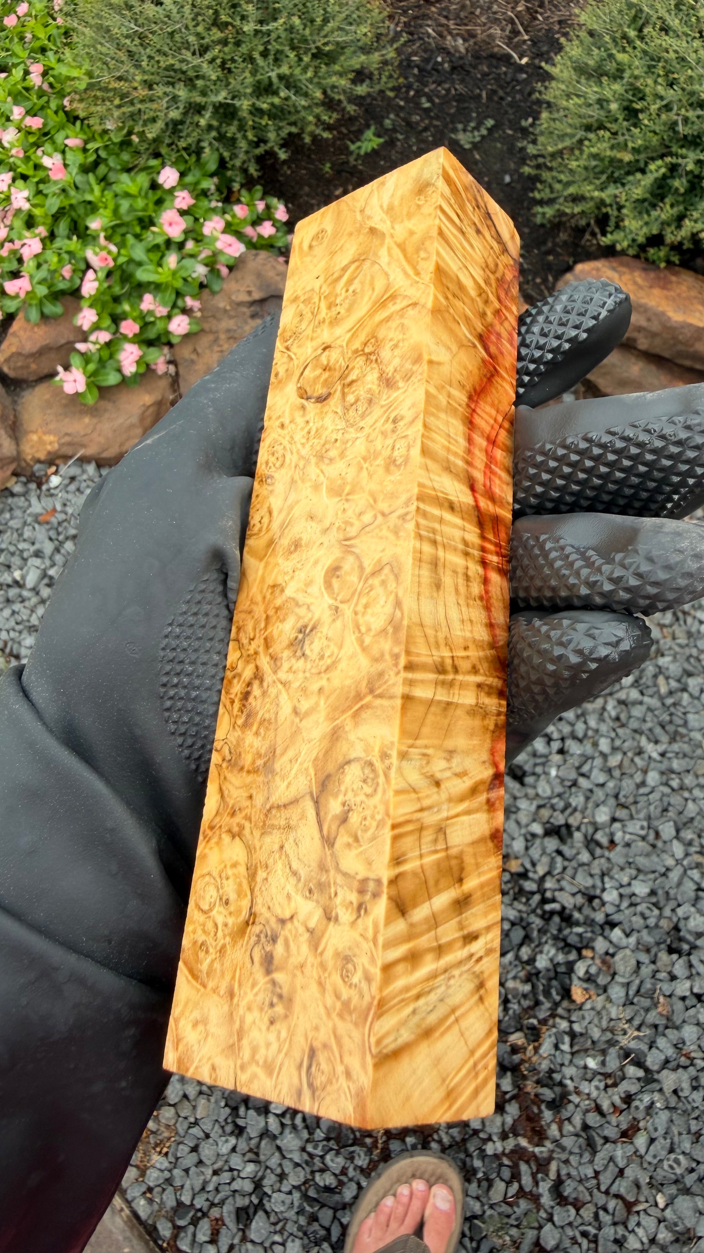 Box Elder Burl Block BEBB-197 (Stabilized)