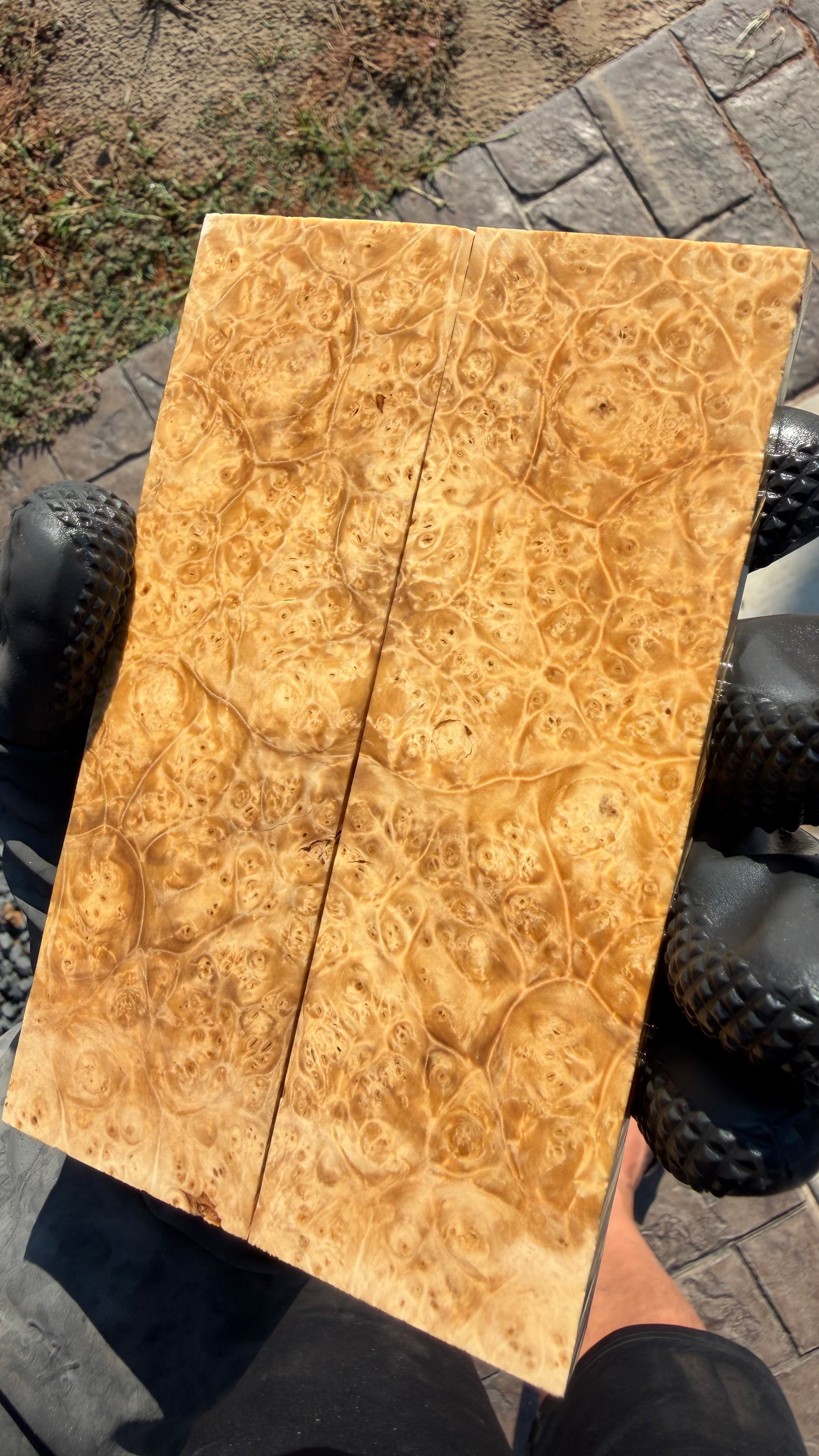 Box Elder Burl Scales BEBS-078 (Stabilized)