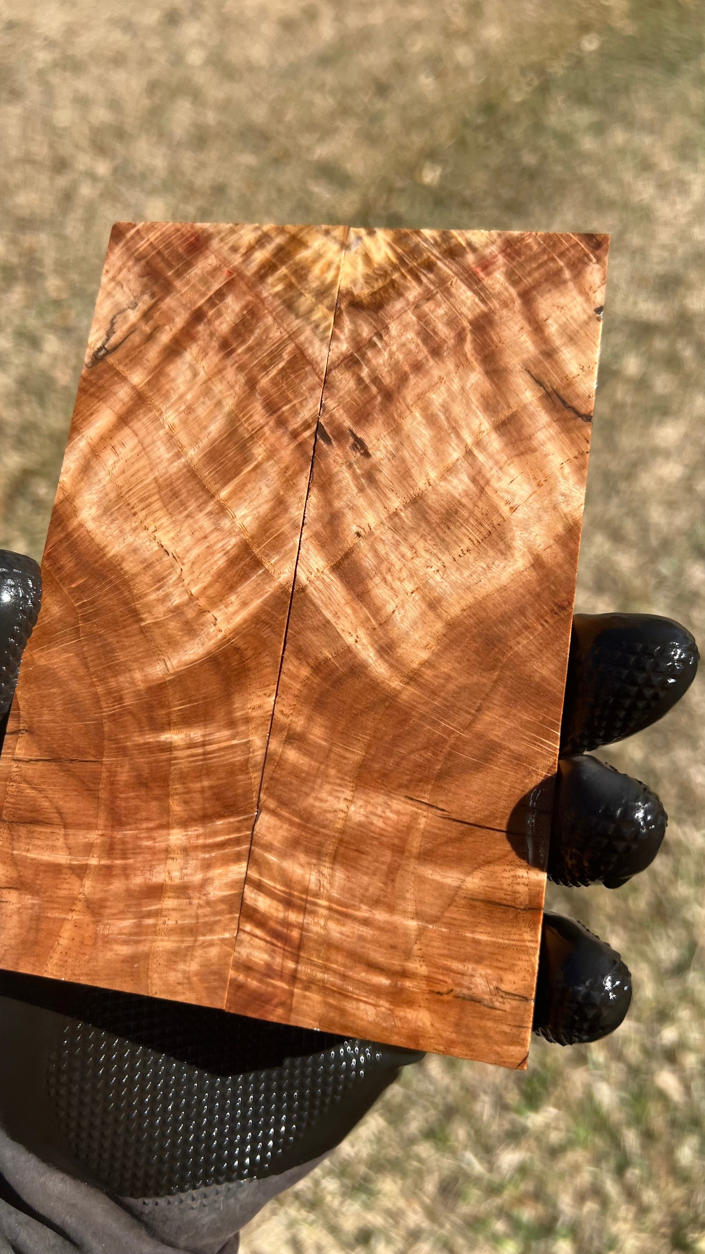 Red Oak Burl Scales ROBS-010 (Stabilized)