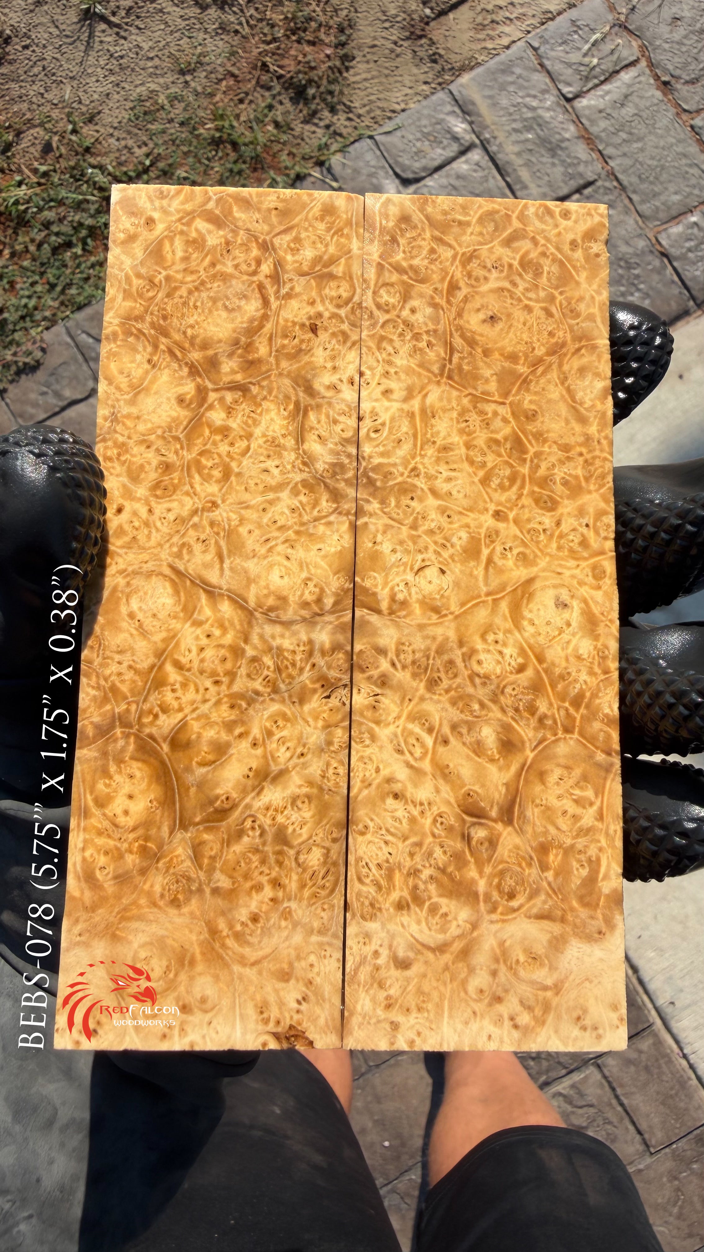 Box Elder Burl Scales BEBS-078 (Stabilized)
