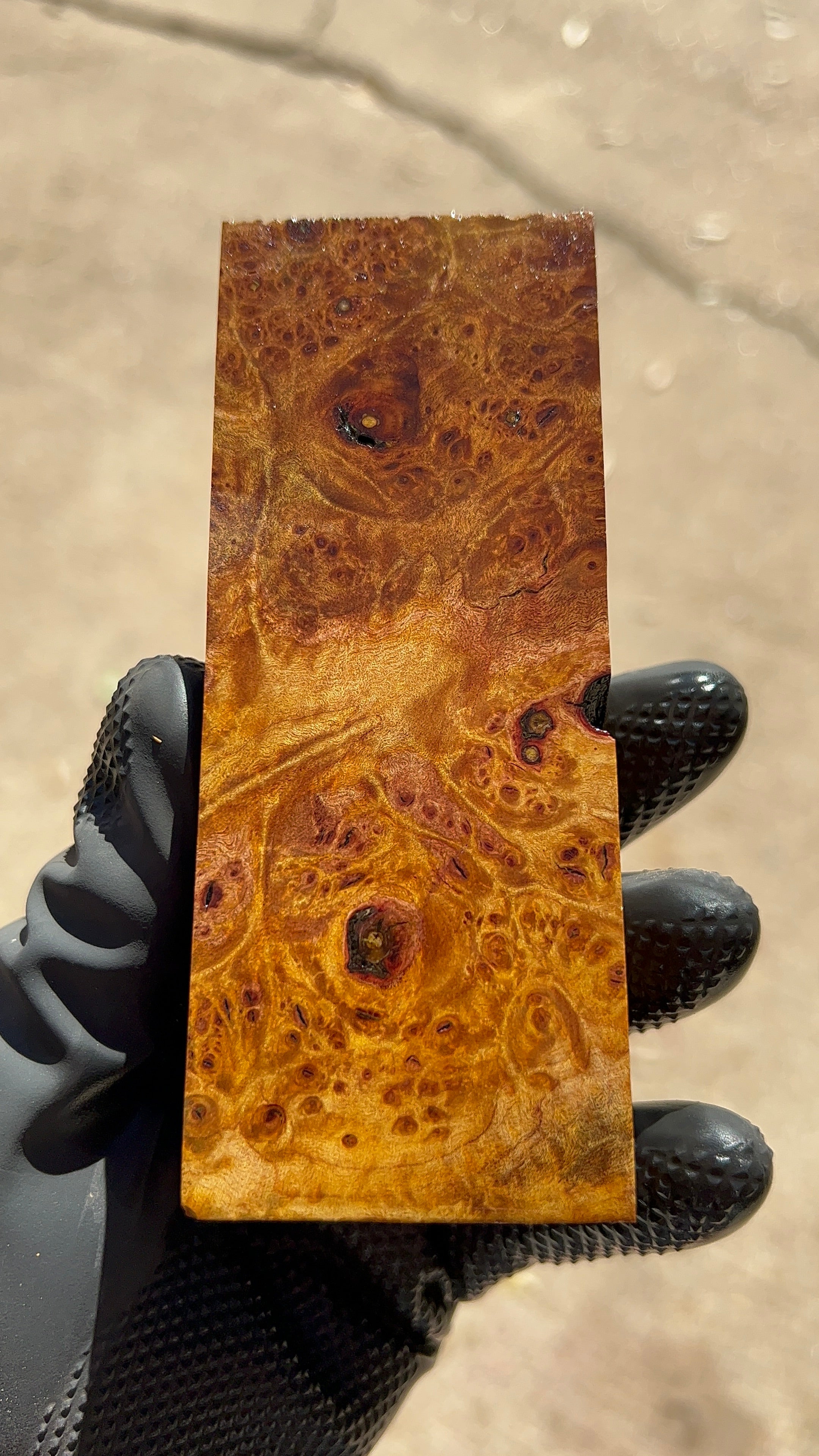 Maple Burl Block MPBB-038 (Stabilized)