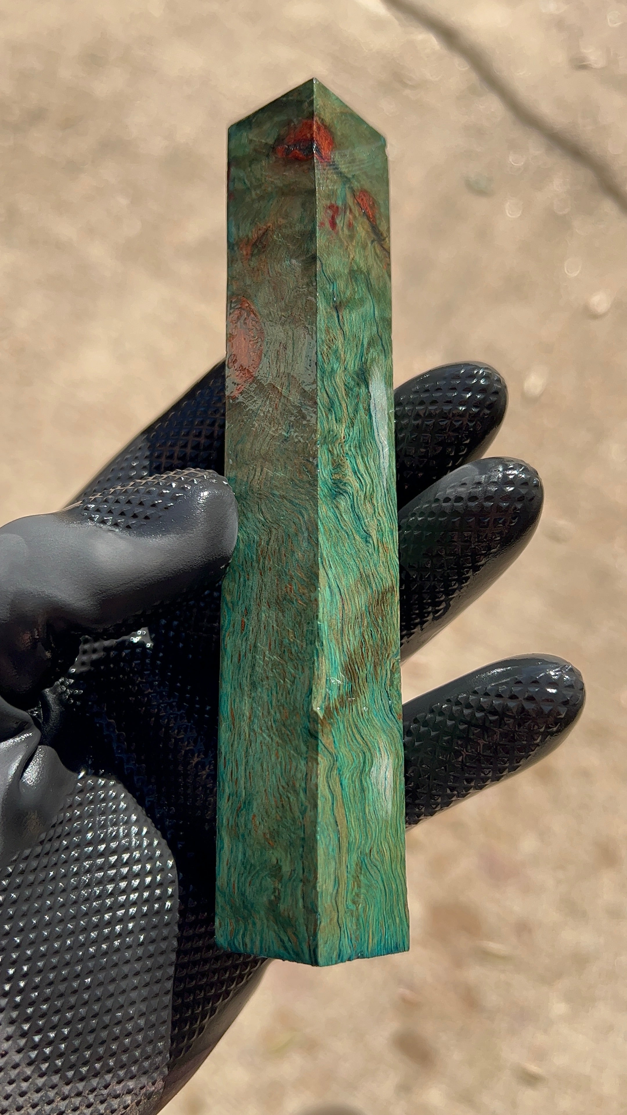 Bloque de raíz de roble rojo ROBB-013 (estabilizado)