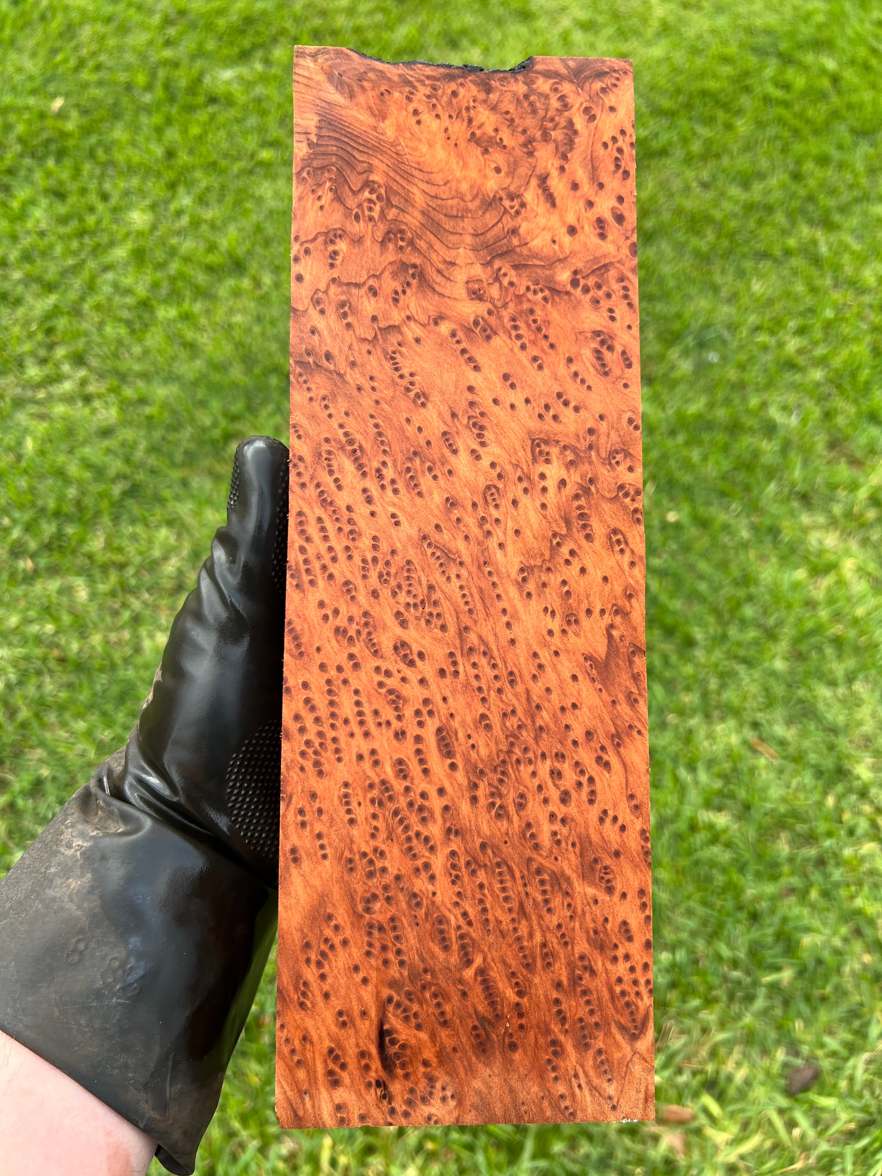 Redwood Burl Brick RLBB_R2-053