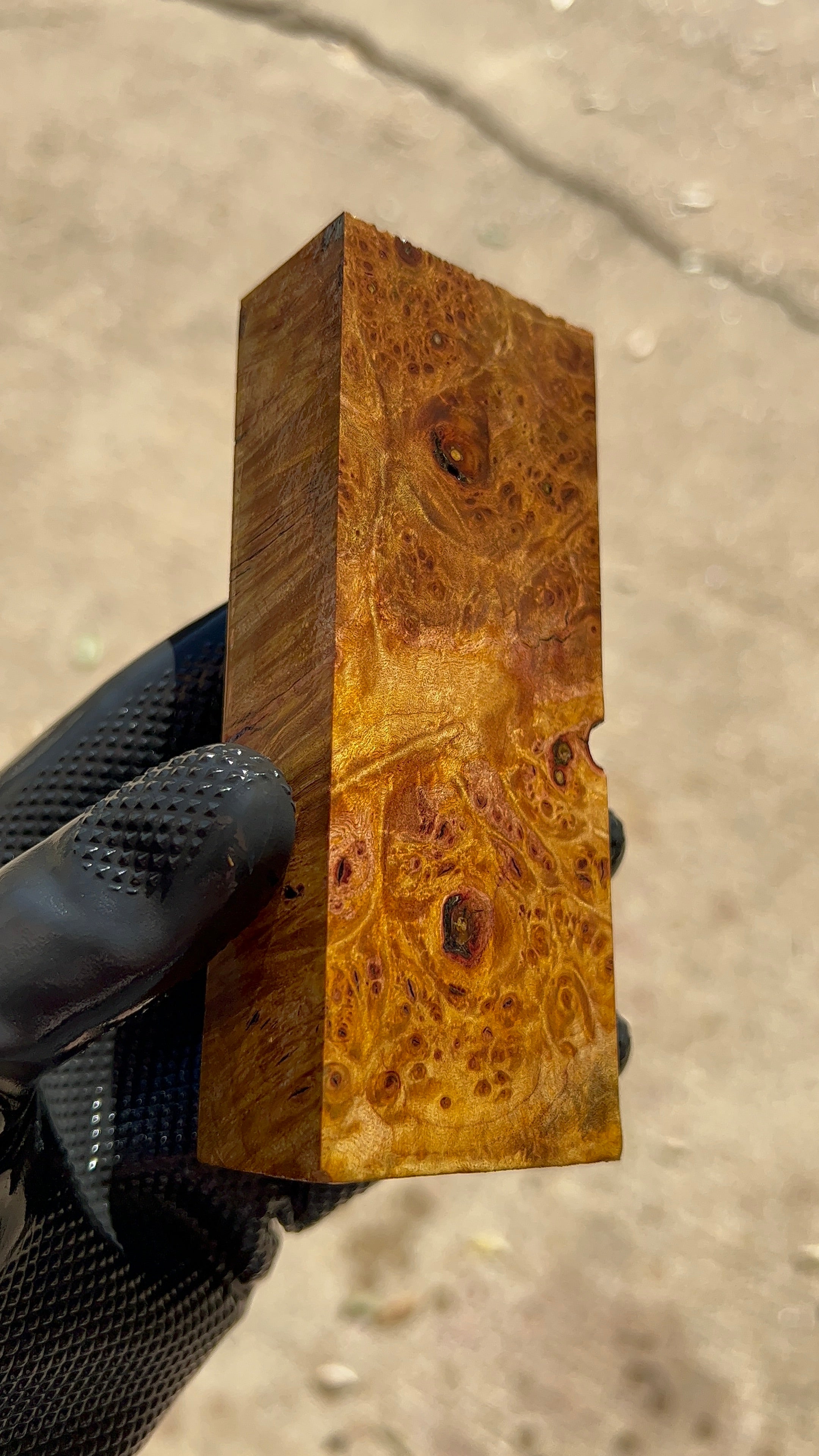 Maple Burl Block MPBB-038 (Stabilized)
