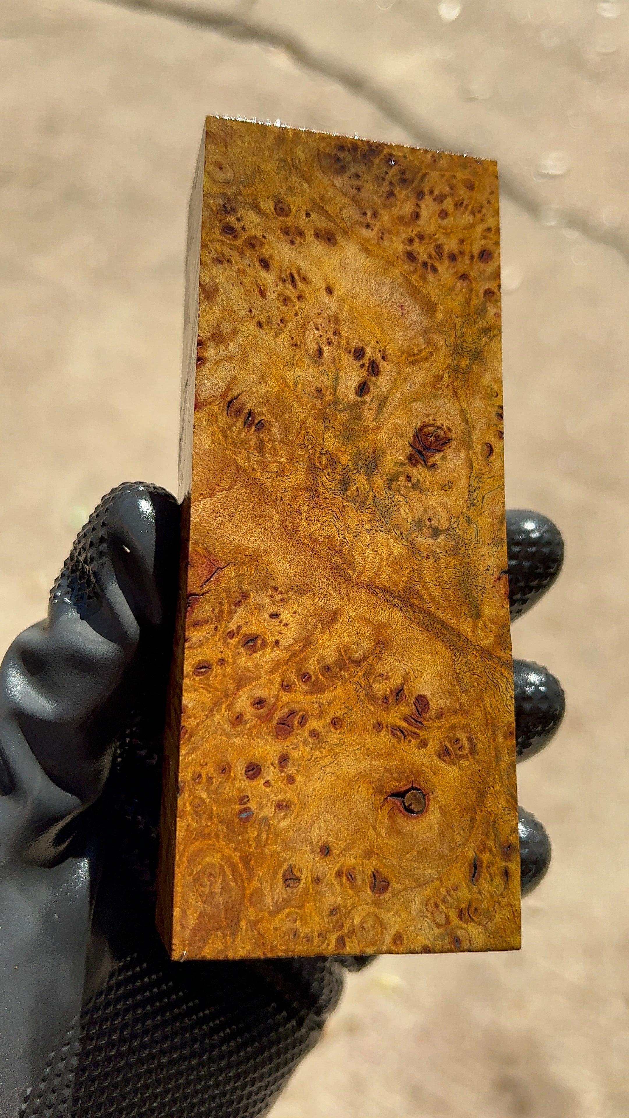 Maple Burl Block MPBB-038 (Stabilized)