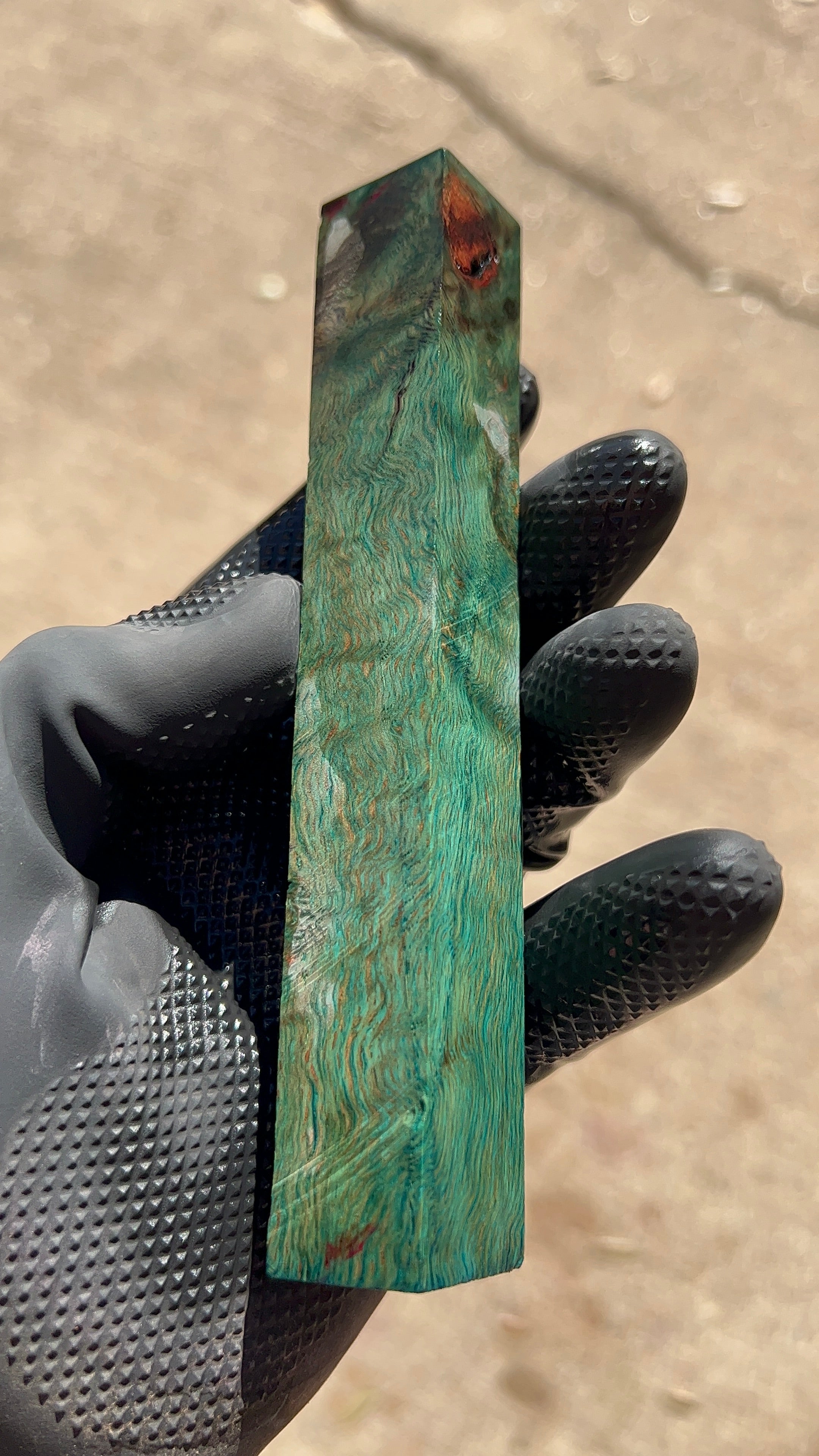 Bloque de raíz de roble rojo ROBB-013 (estabilizado)