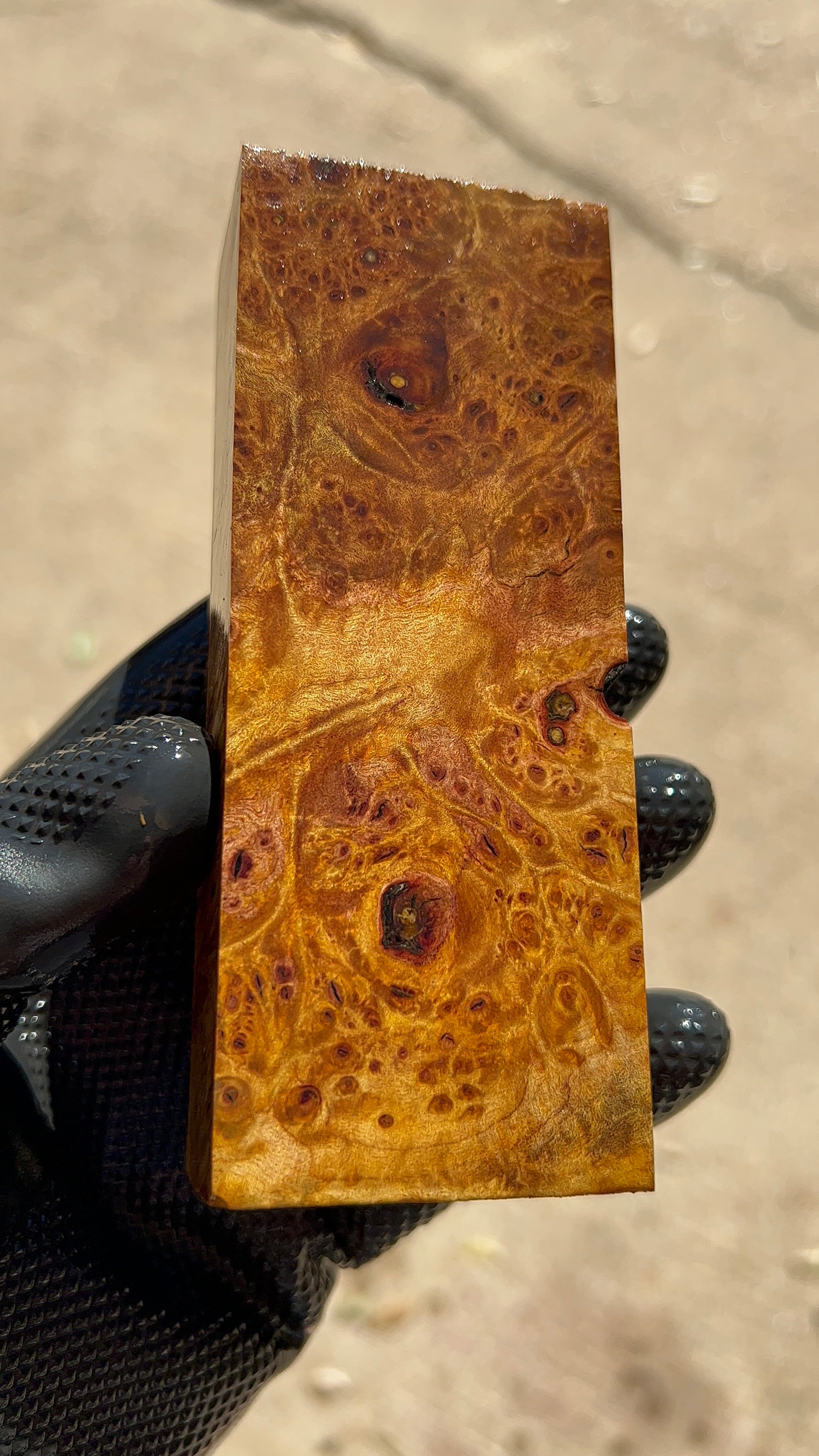 Maple Burl Block MPBB-038 (Stabilized)