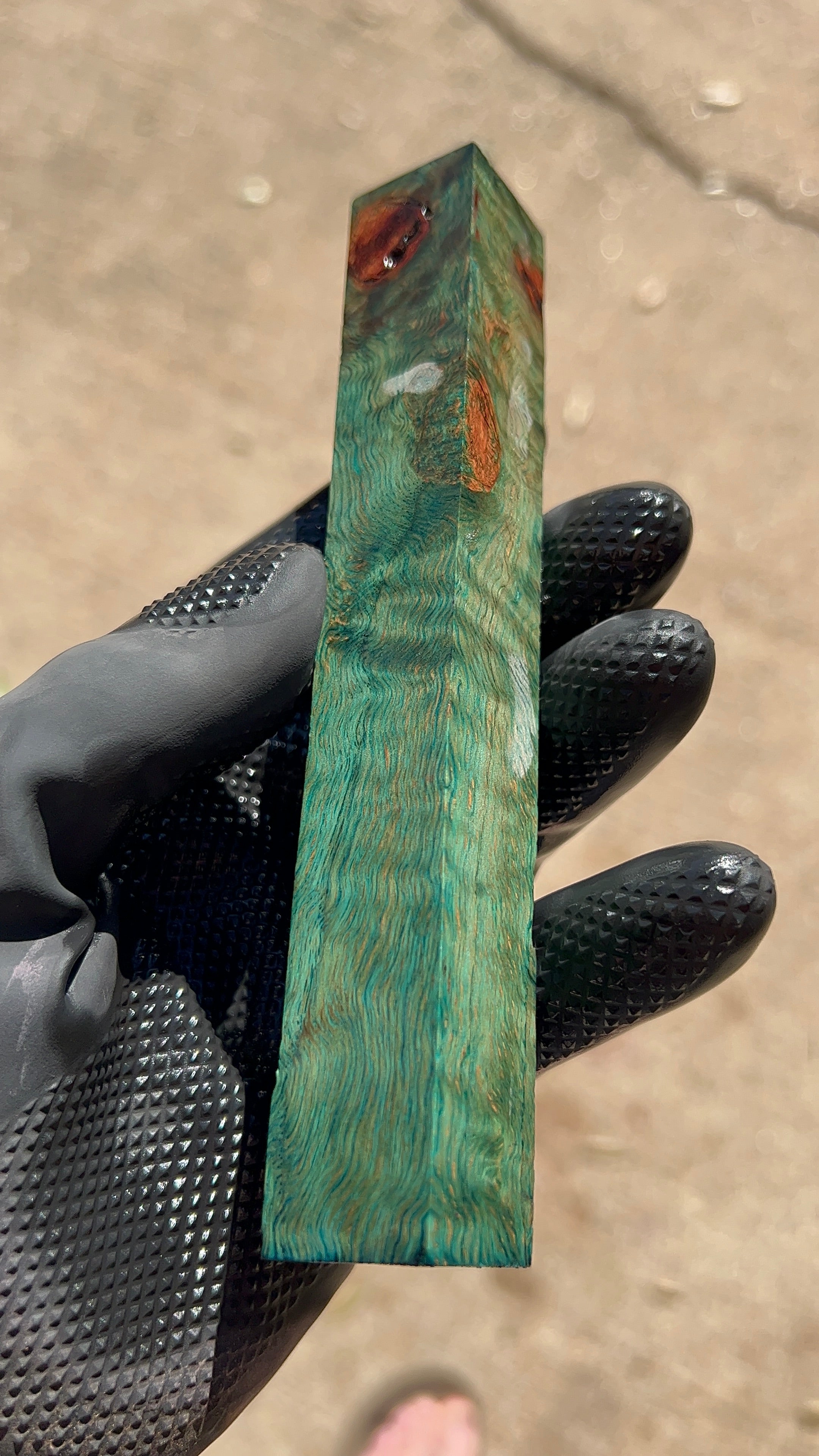 Bloque de raíz de roble rojo ROBB-013 (estabilizado)