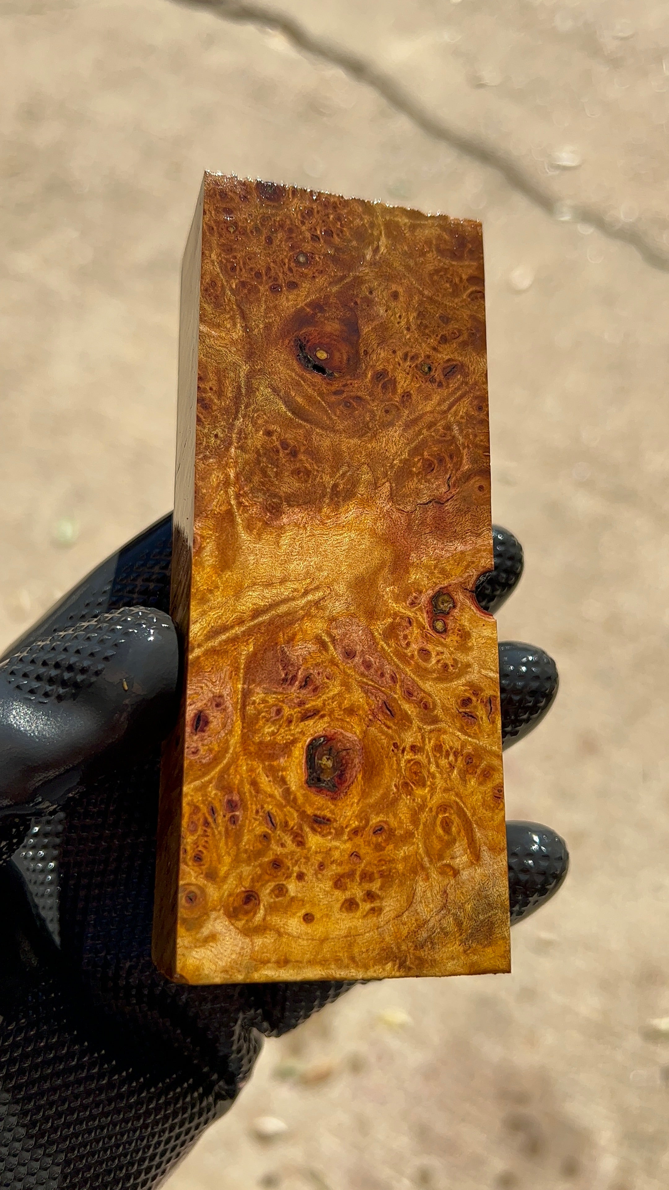 Maple Burl Block MPBB-038 (Stabilized)