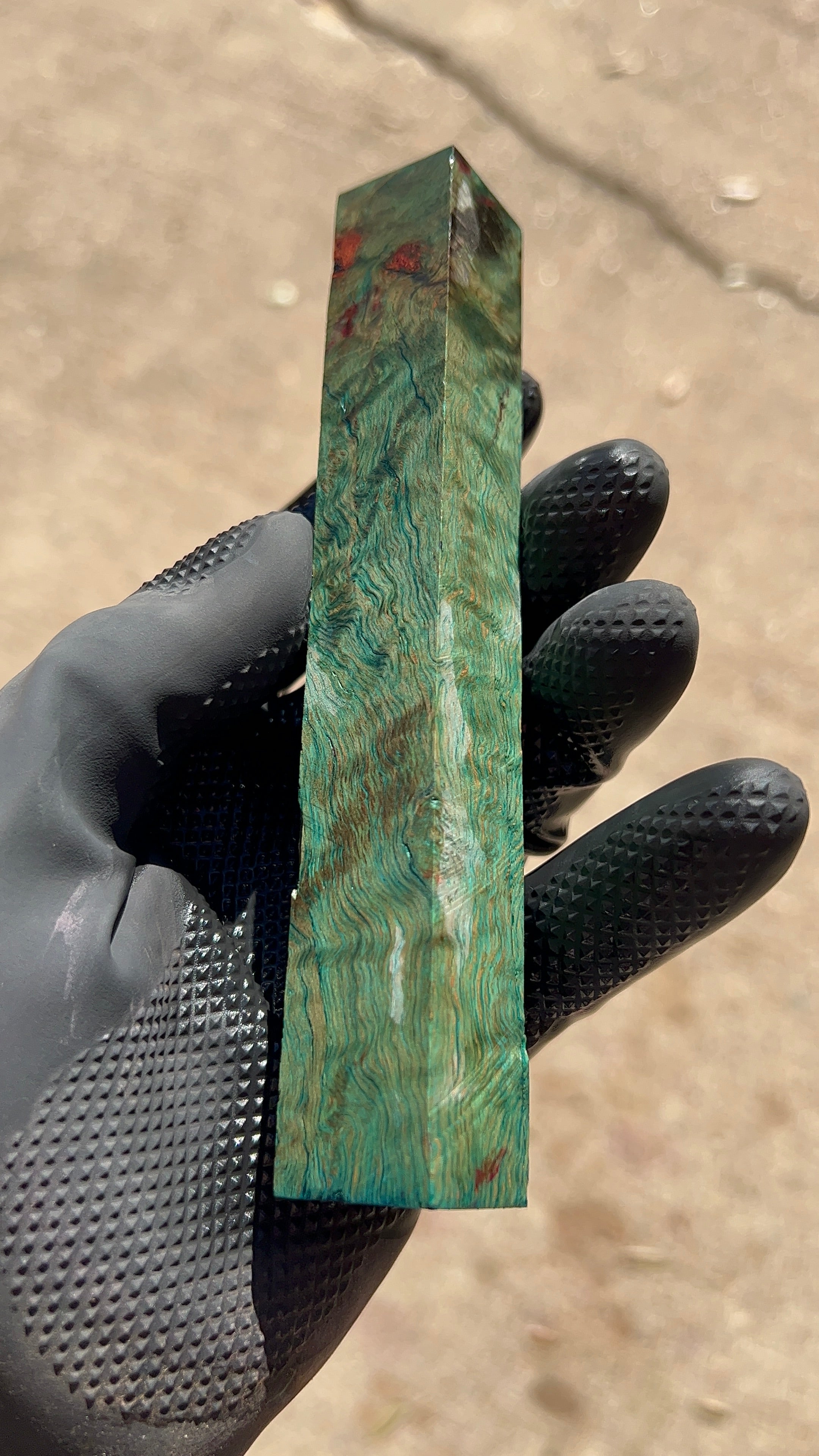 Bloque de raíz de roble rojo ROBB-013 (estabilizado)