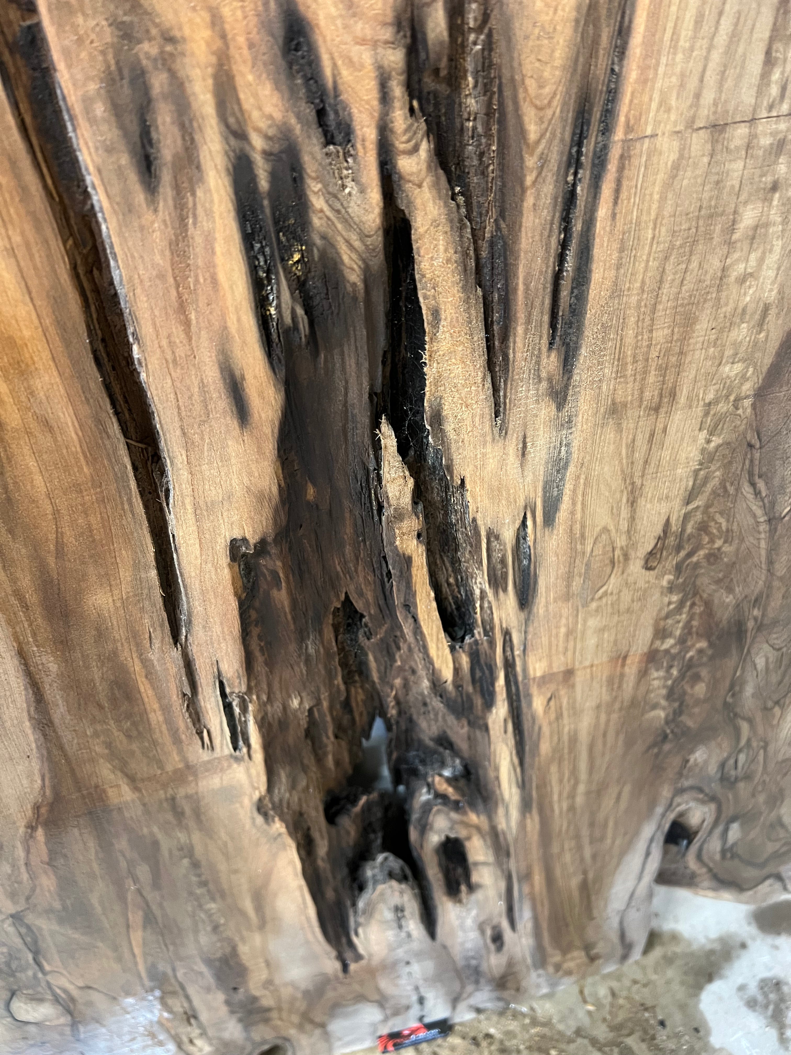 181 B.C Ancient Sinker Cypress Round (ASC_RD-002)