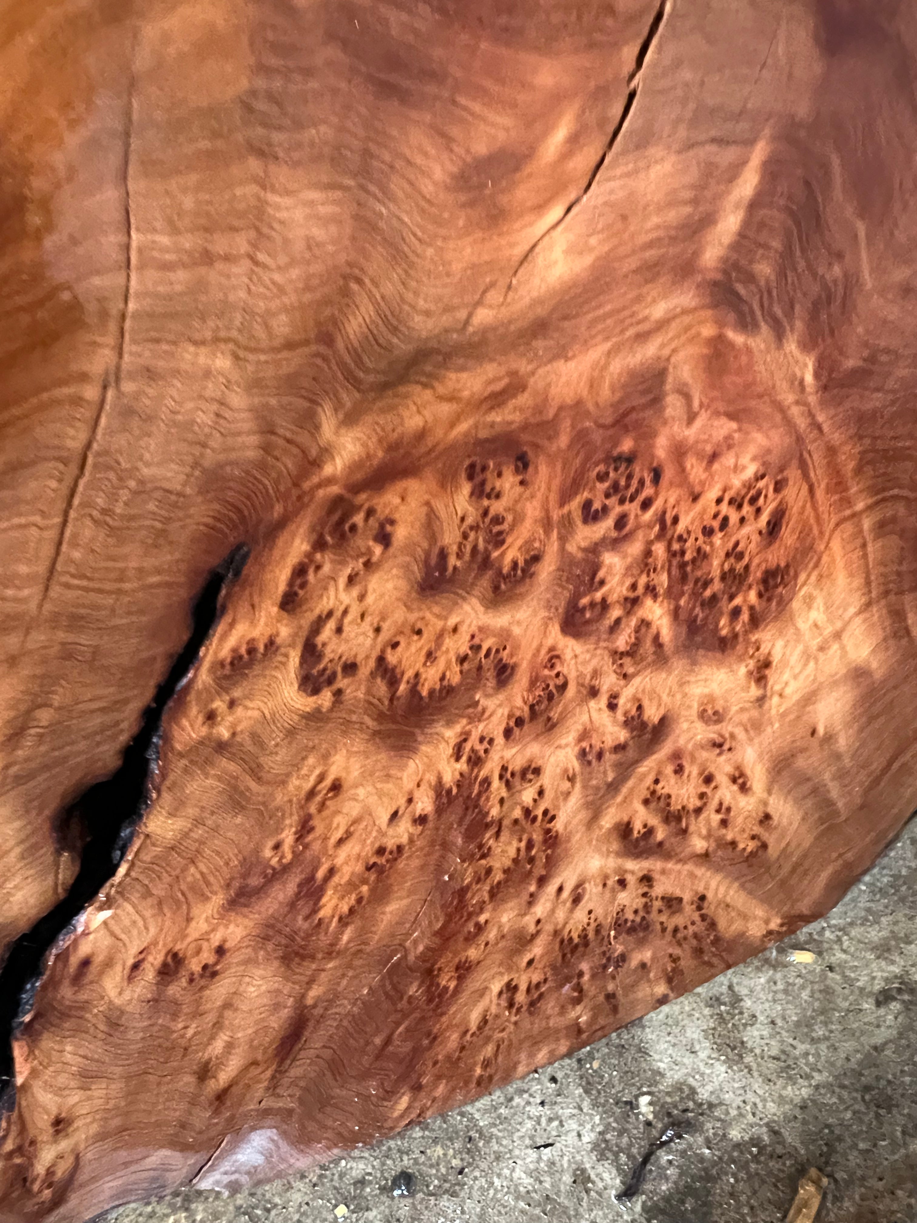 Juniper Burl Losa Redonda 36”