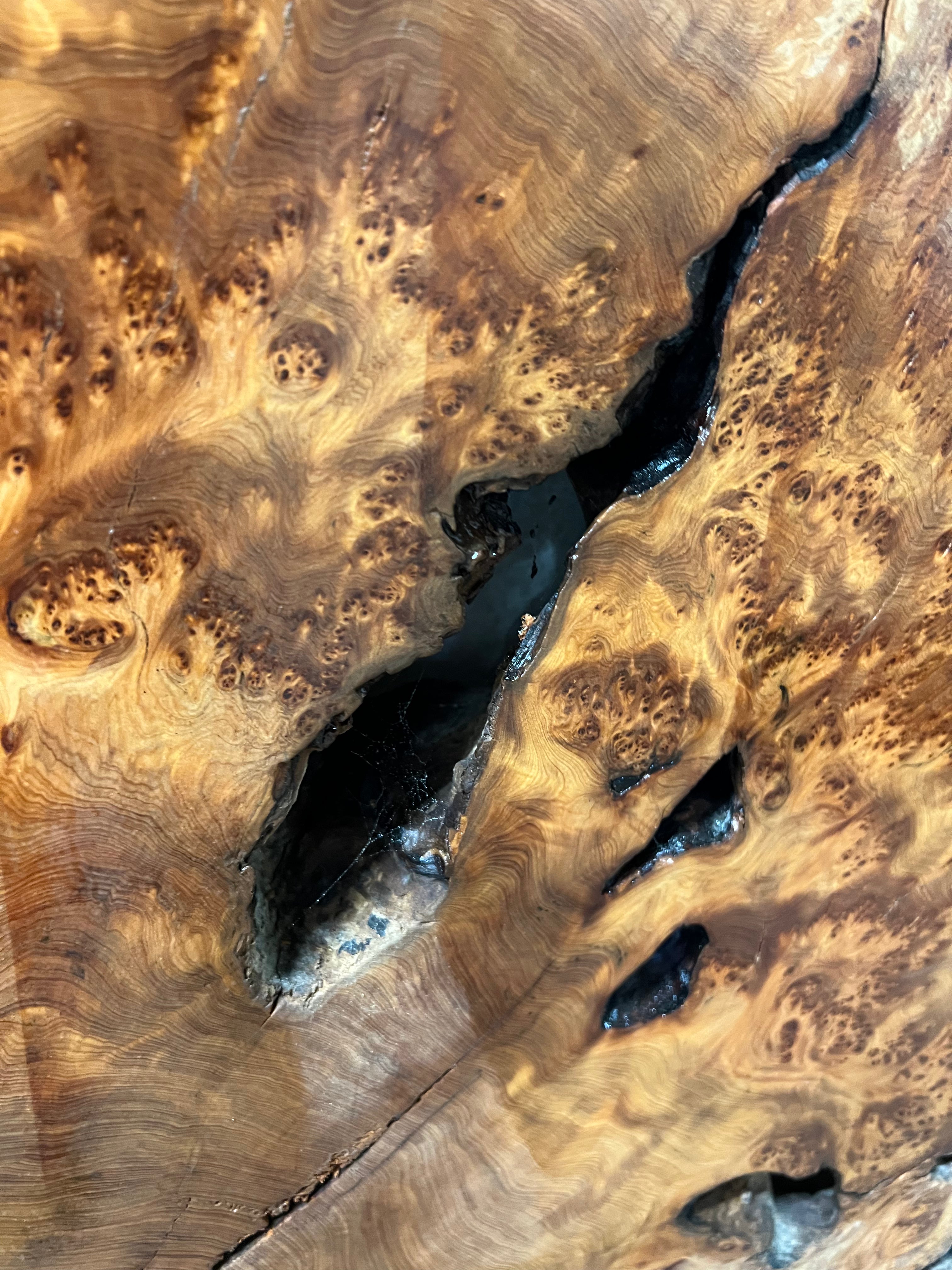 Juniper Burl Losa Redonda 36”