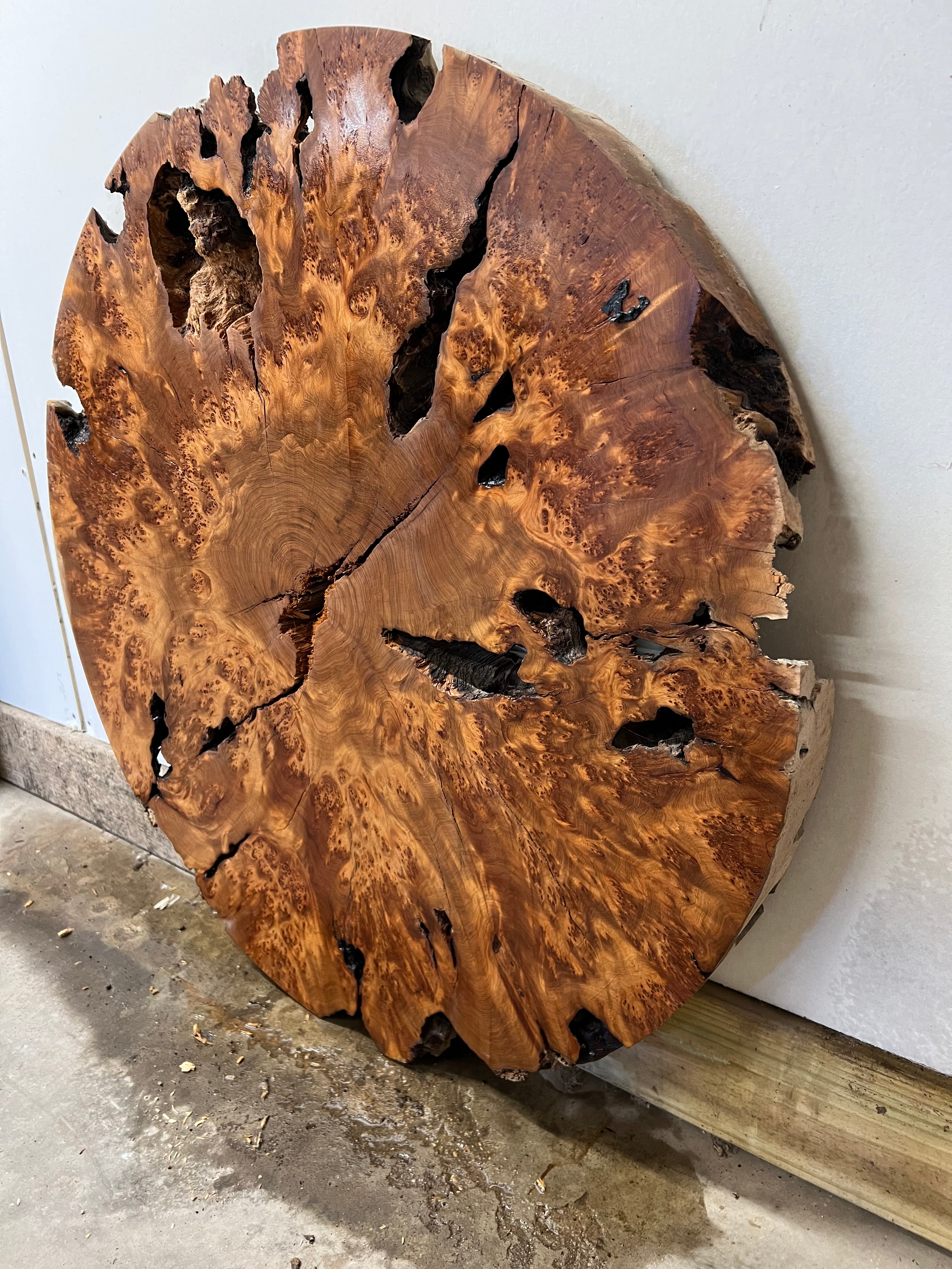 Juniper Burl Losa Redonda 36”