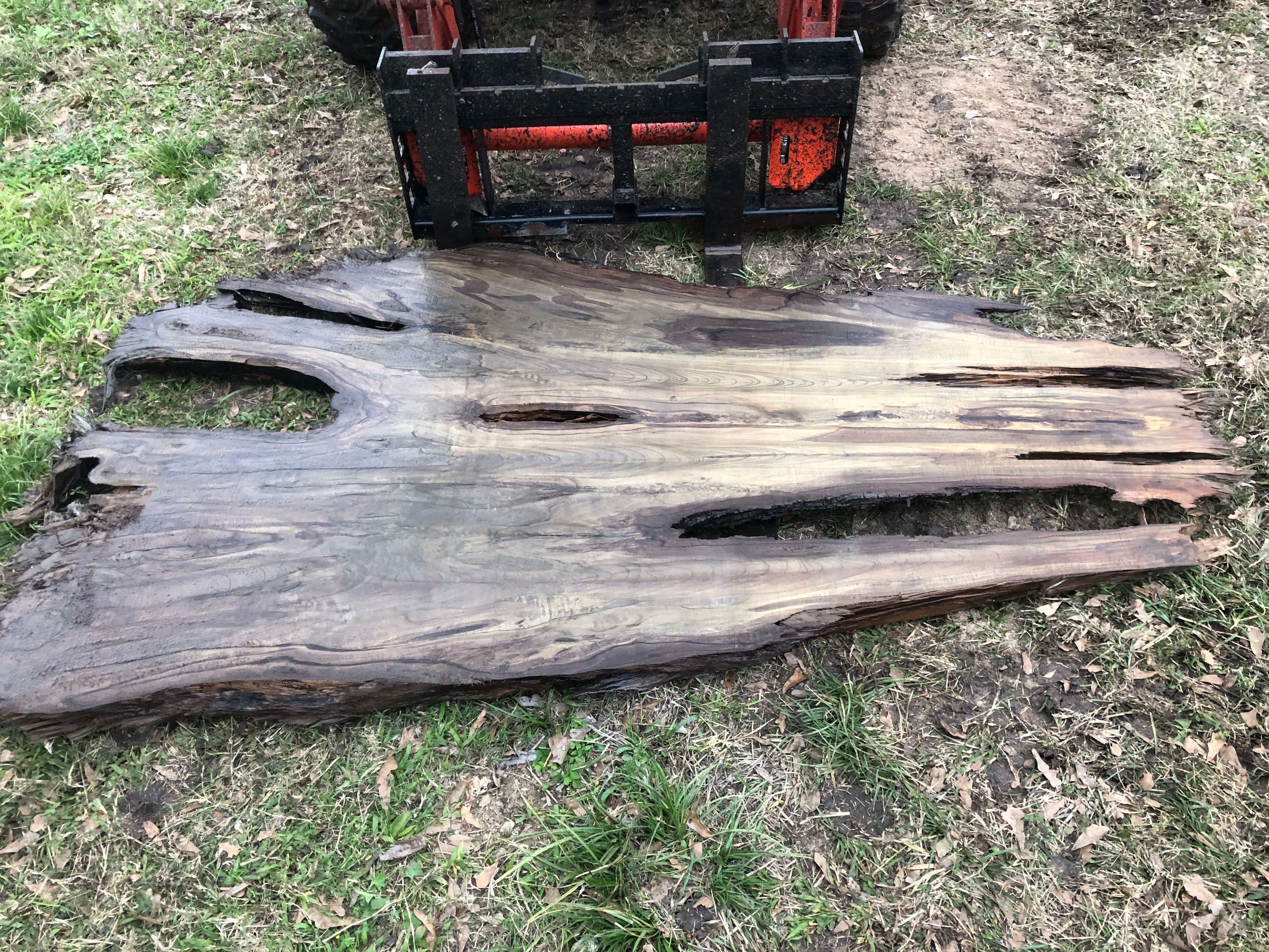 181 B.C Ancient Sinker Cypress Slab (Eagle Head)